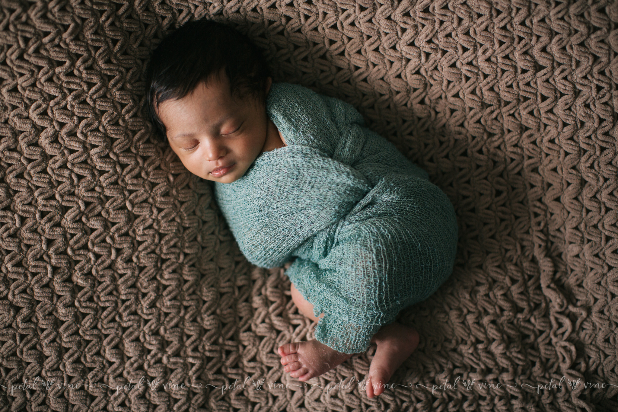 lakeland newborn photography