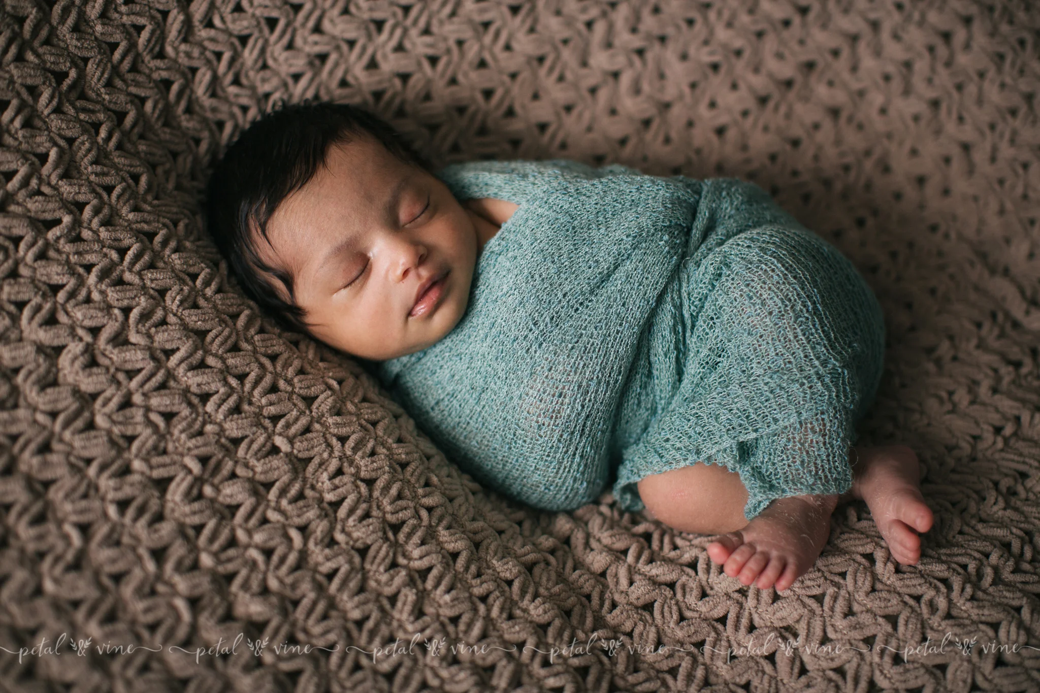 lakeland newborn photographer