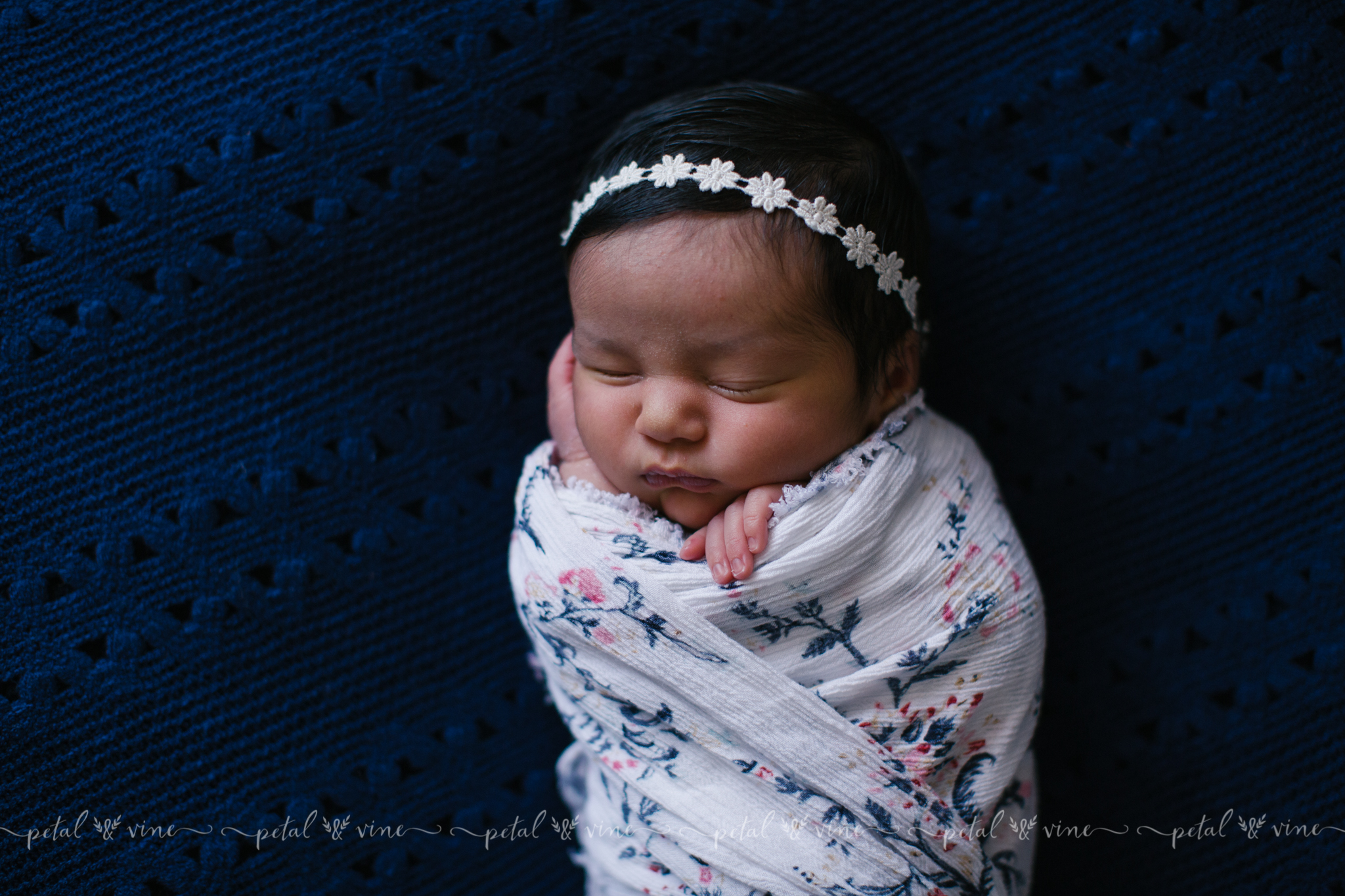 lakeland newborn photographer