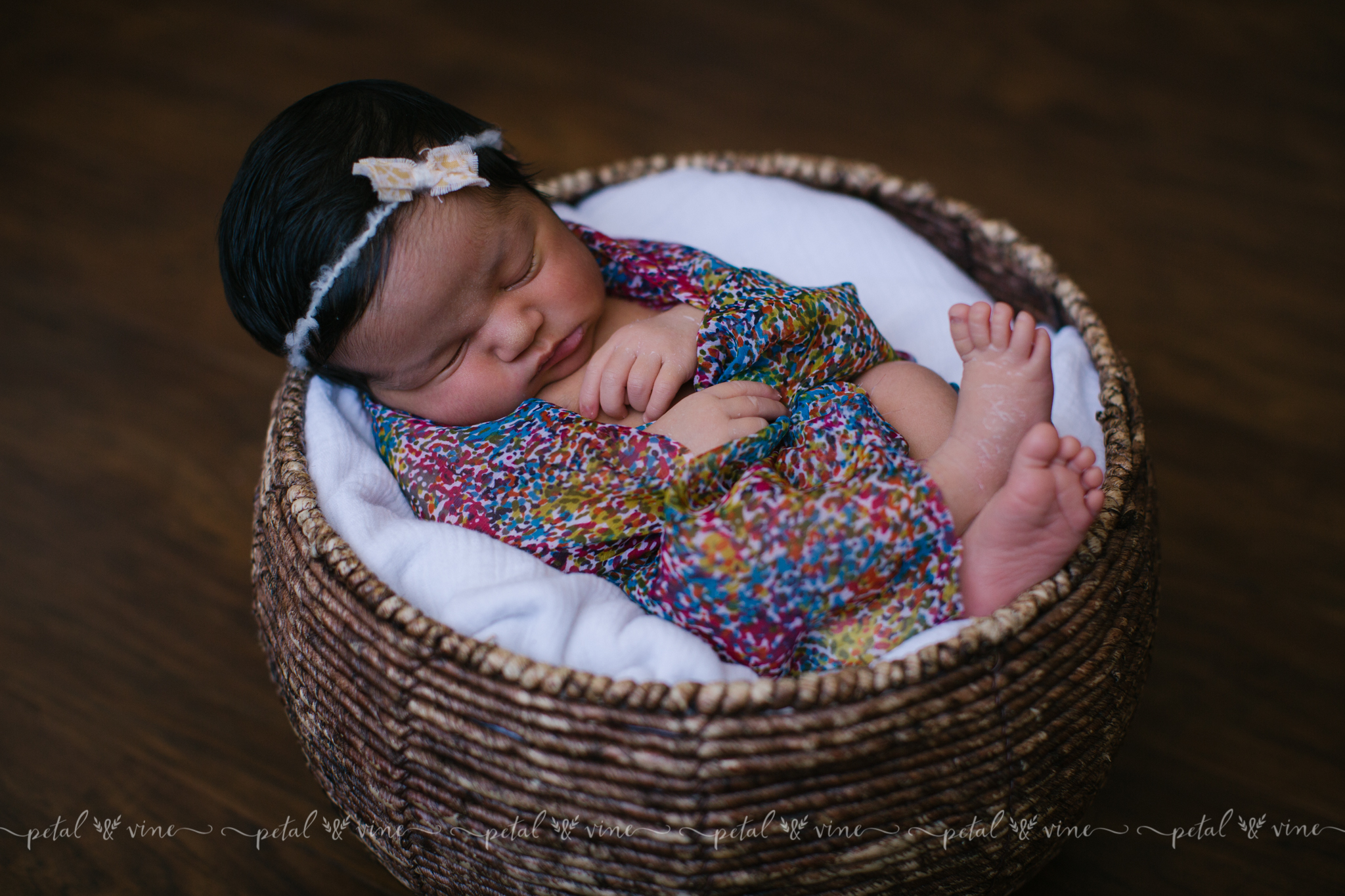 lakeland photography newborn