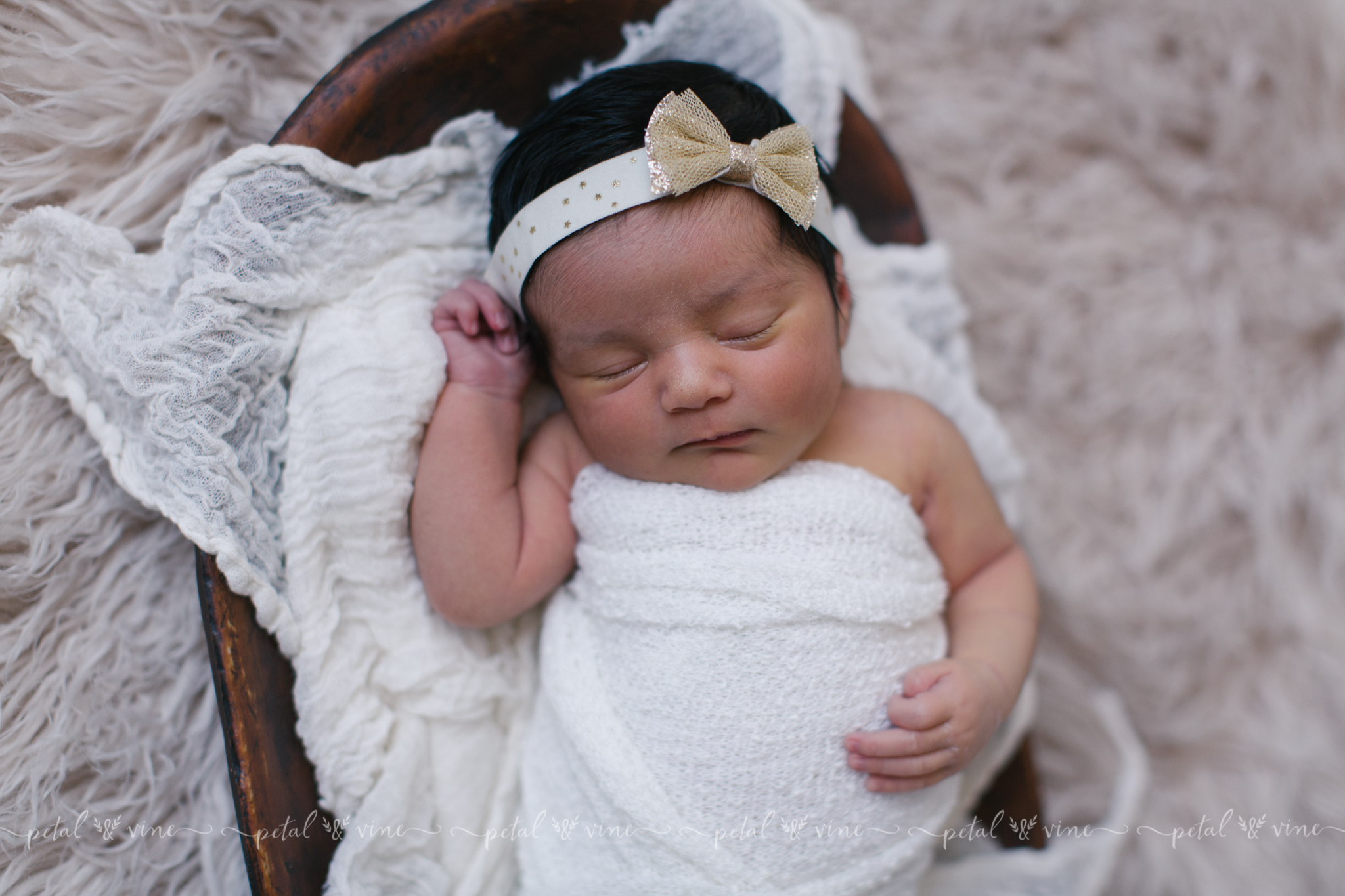 lakeland newborn photographer