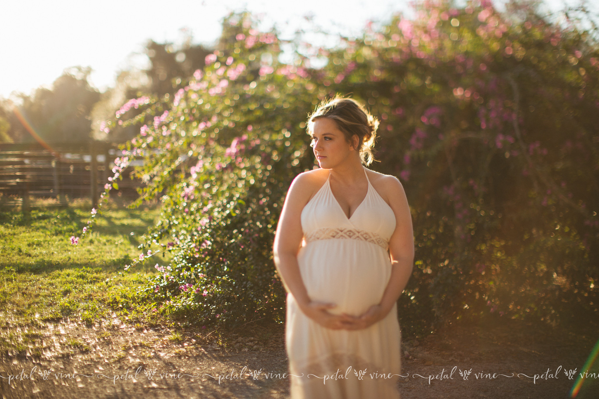 Davenport Maternity Photographer