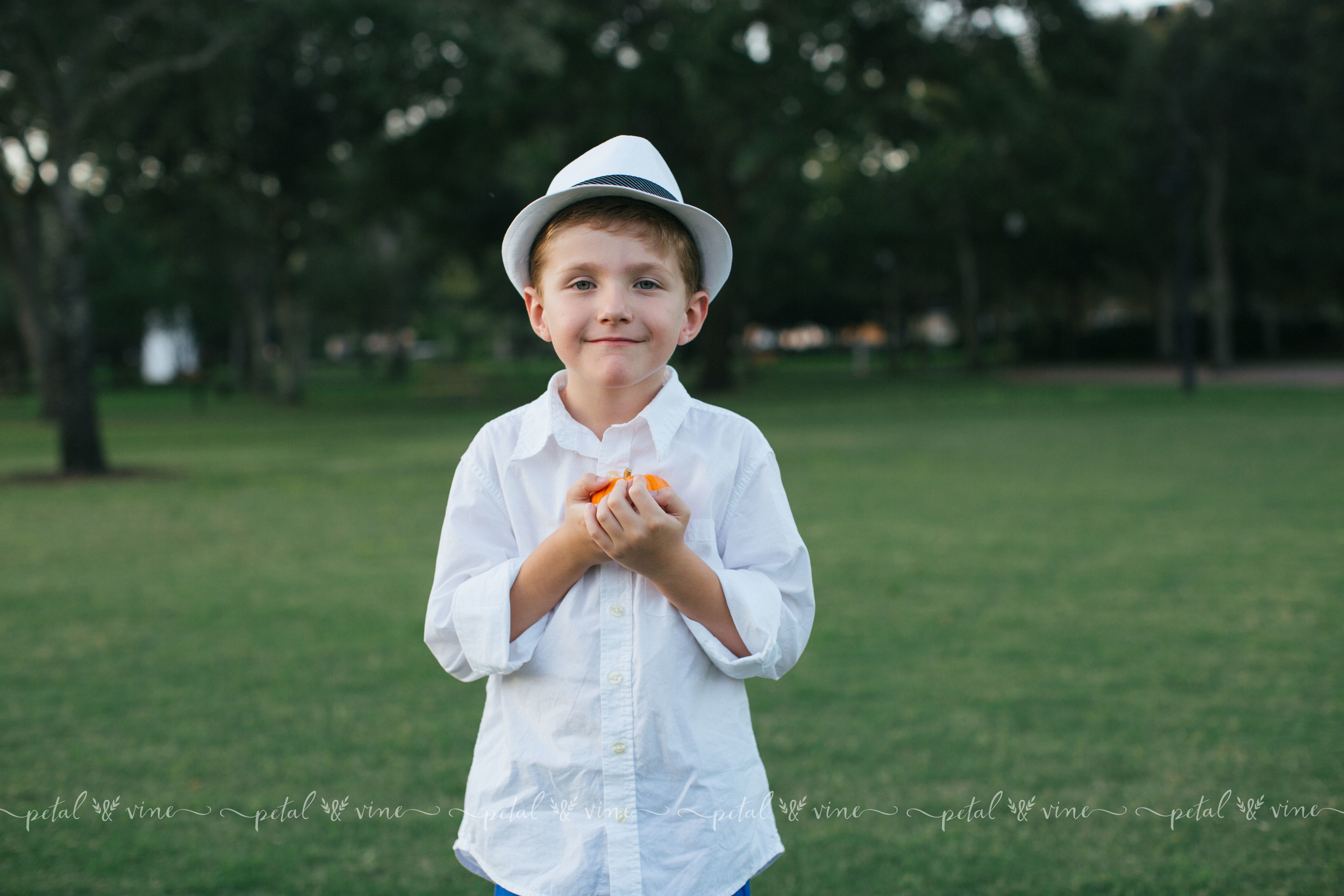 clearwater lifestyle family photographer