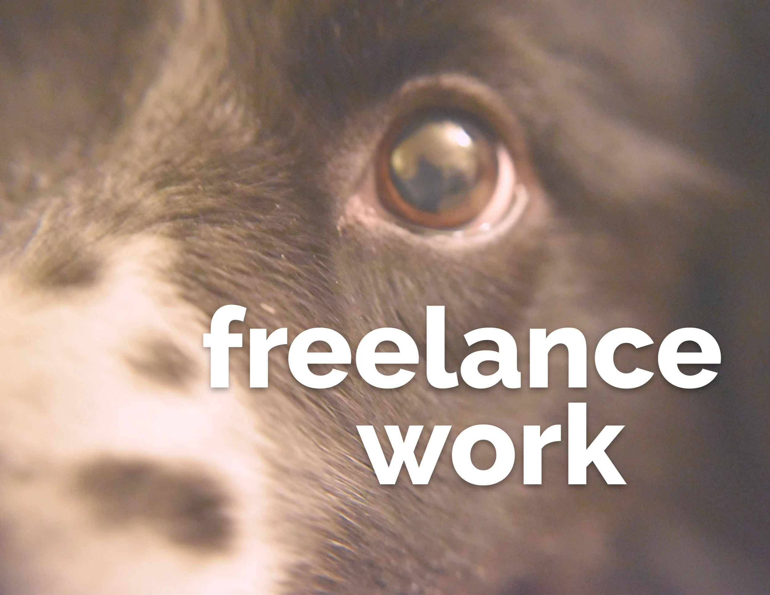 freelance_buh.jpg