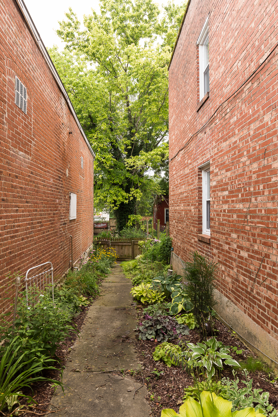  Another garden in an alley! 