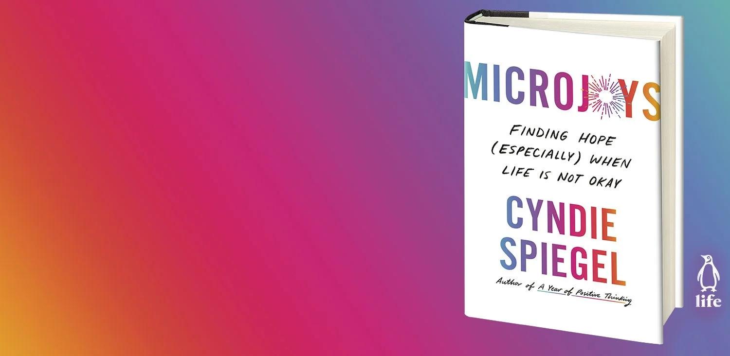 Microjoys — Cyndie Spiegel | speaker, facilitator and author
