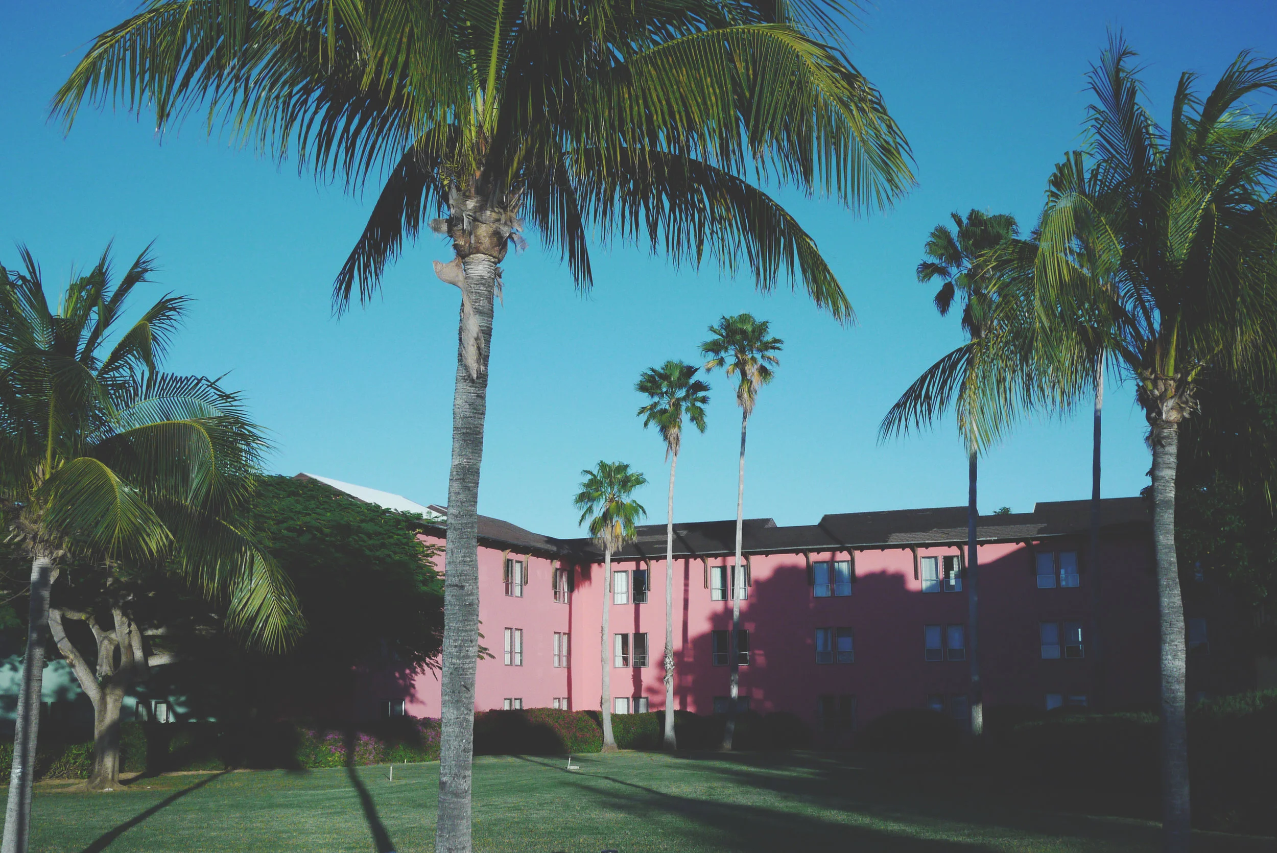 paradise_dreams.jpg