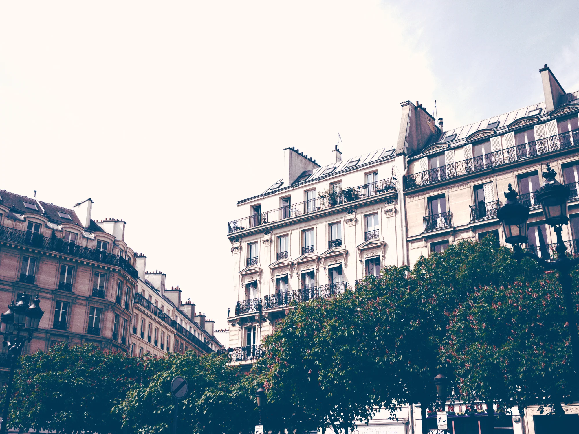 Paris__________.jpg