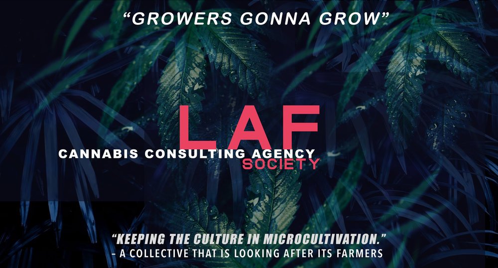LAF_CONSULTING_BANNER.jpg