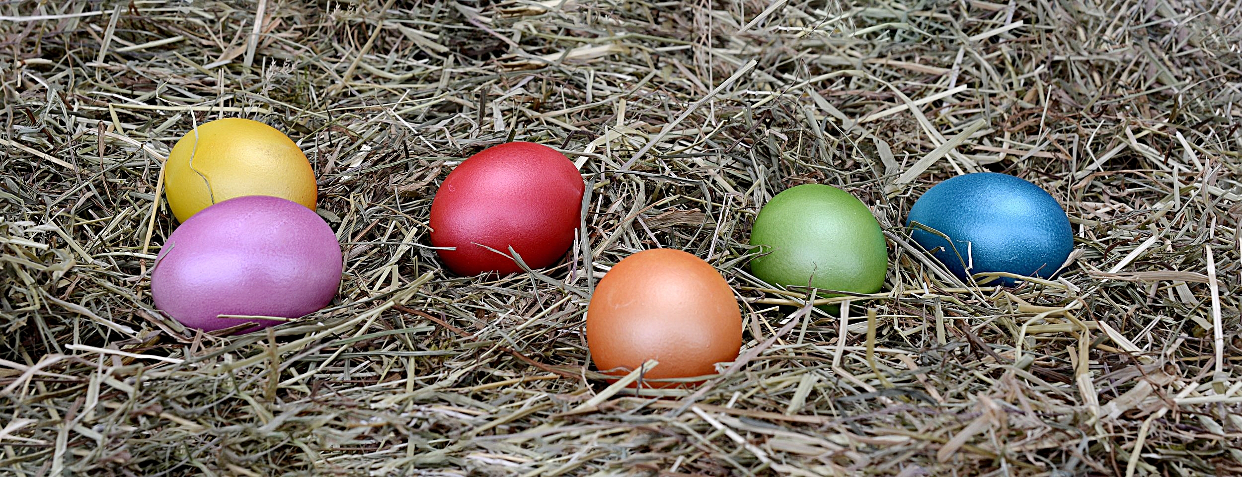 easteregg.jpeg