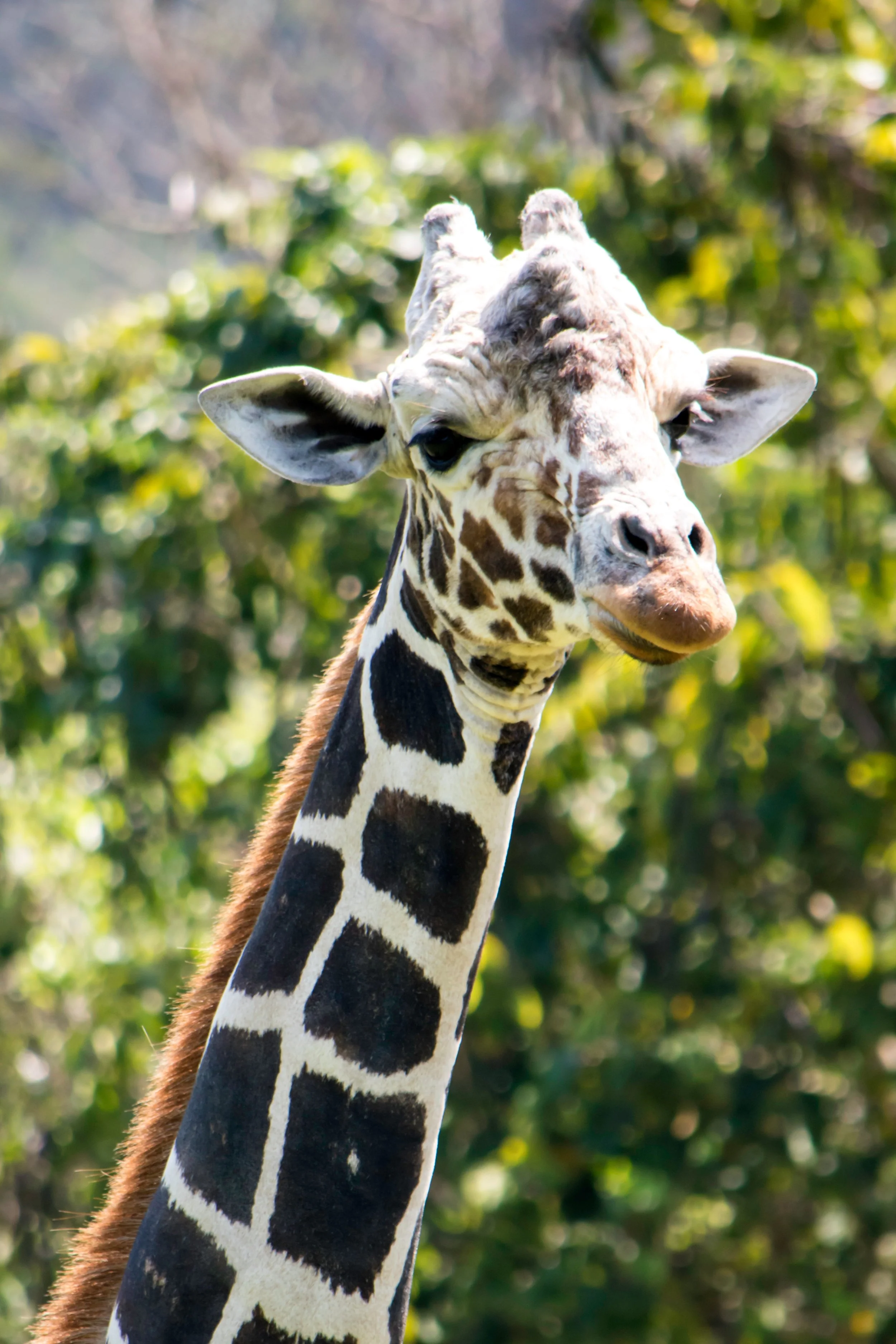 Why Is Conservation So Important?