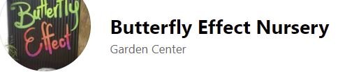 Butterfly Effect Nursery