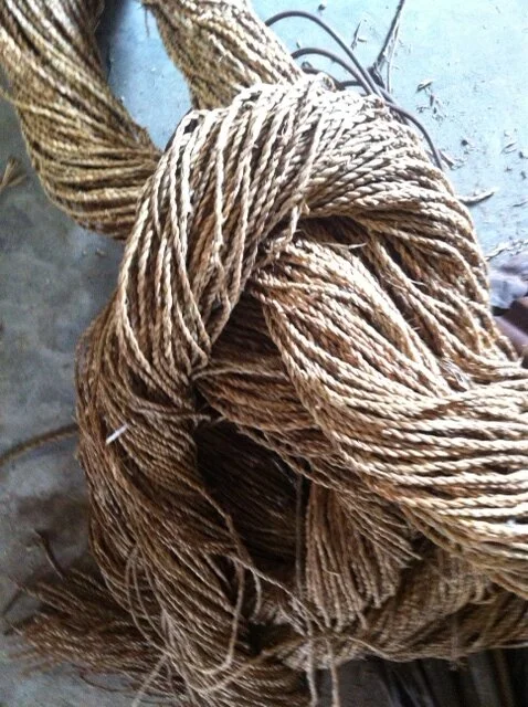photo 5.JPG