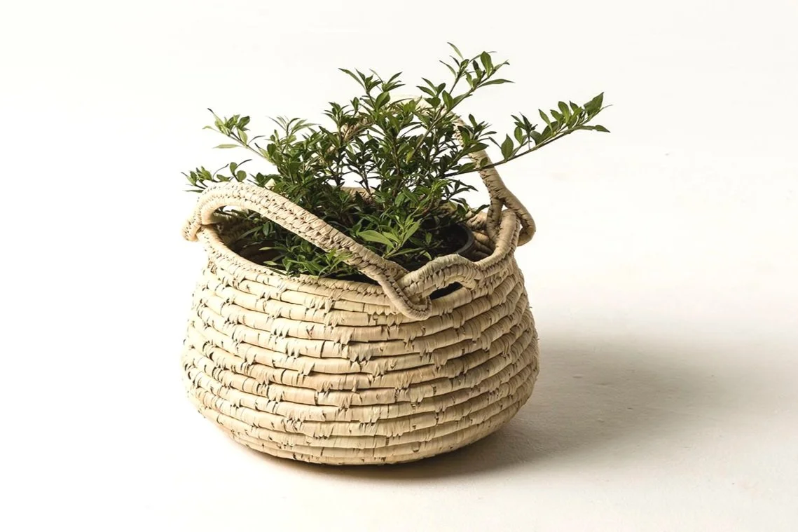 Large White Date Leaf Basket with two handles