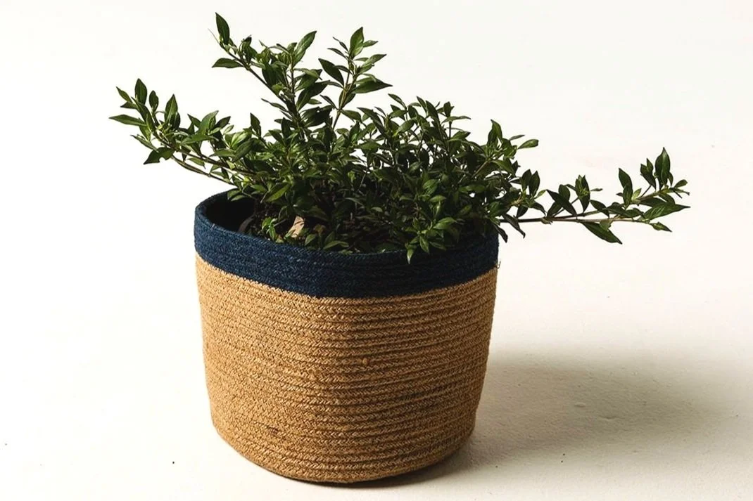 Braided Jute Basket with navy blue rim