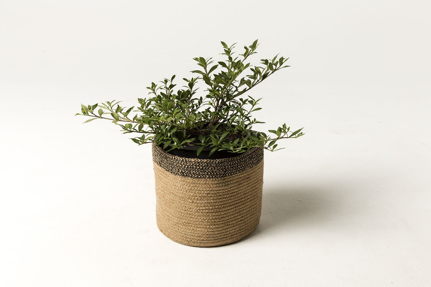 Braided Jute Basket with black rim