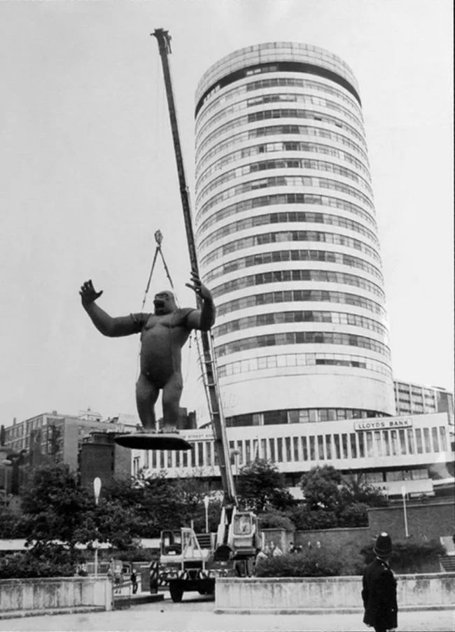 kong-3.jpg