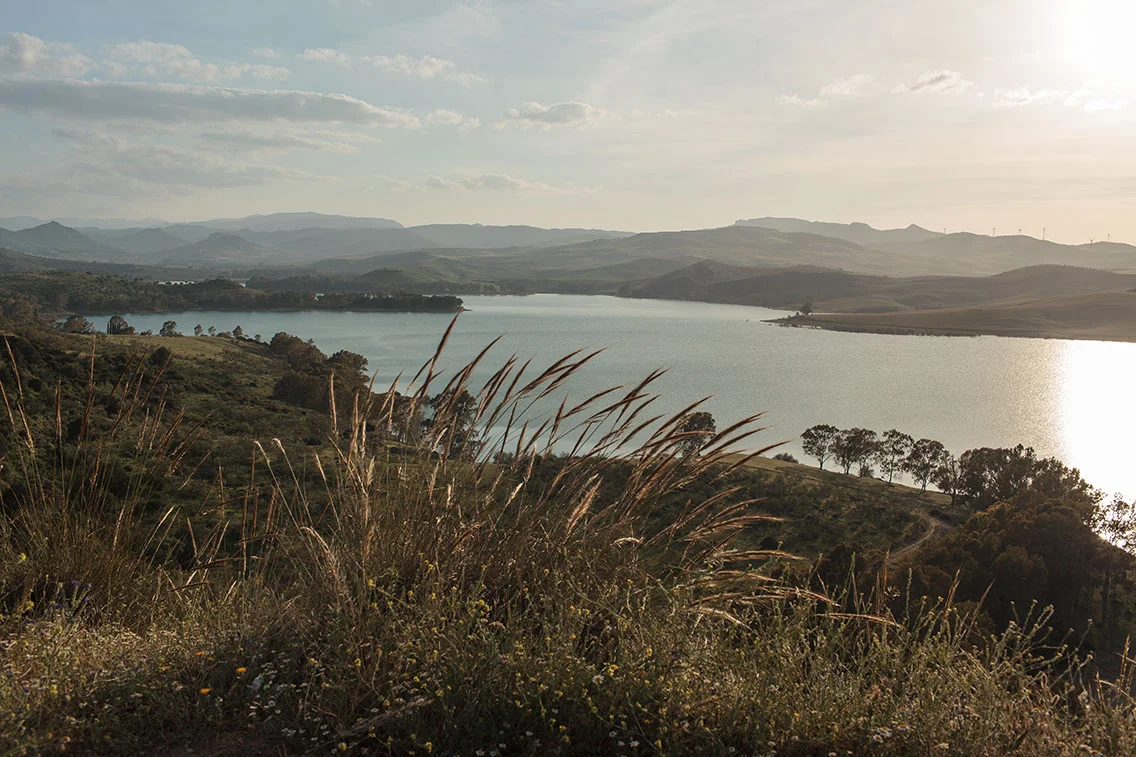 IMG_9029 als Smartobjekt-1.jpg