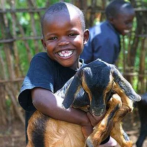 UGANDA LIVESTOCK MICROBUSINESS - GOAT Suggested Gift: $100 This gift gives an impoverished family in Uganda an ongoing source of nutrition and supplemental income.