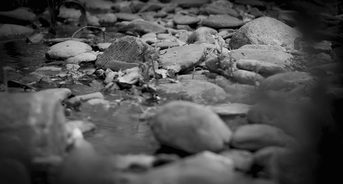 DSCF0201.jpg