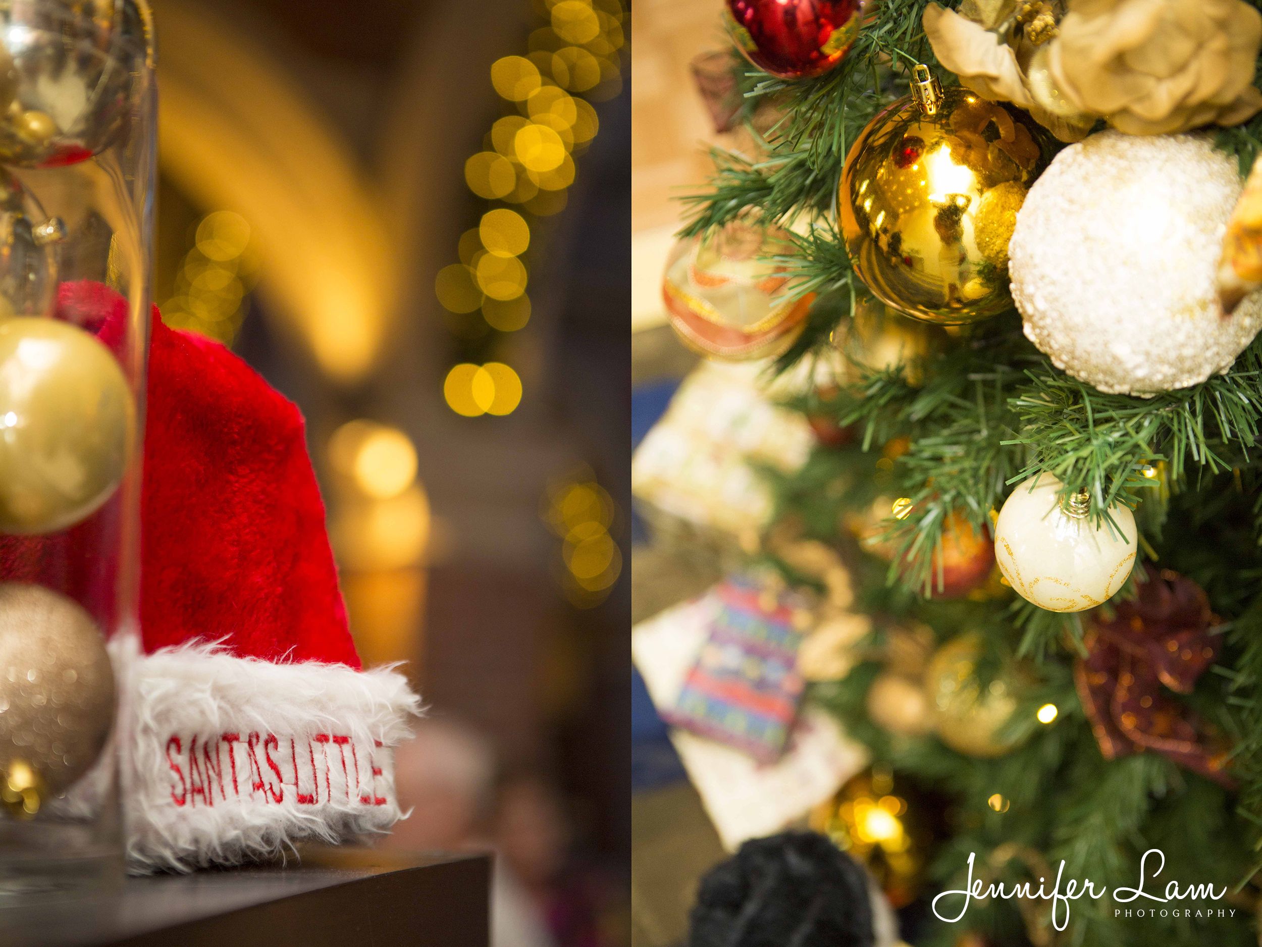 Christmas 2015 - Jennifer Lam Photography (2)A.jpg