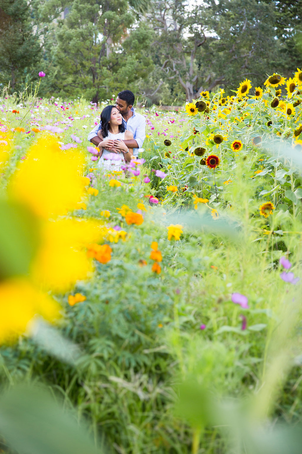 Sydney Royal Botanic Garden - Engagement - Jennifer Lam Photography (24).jpg