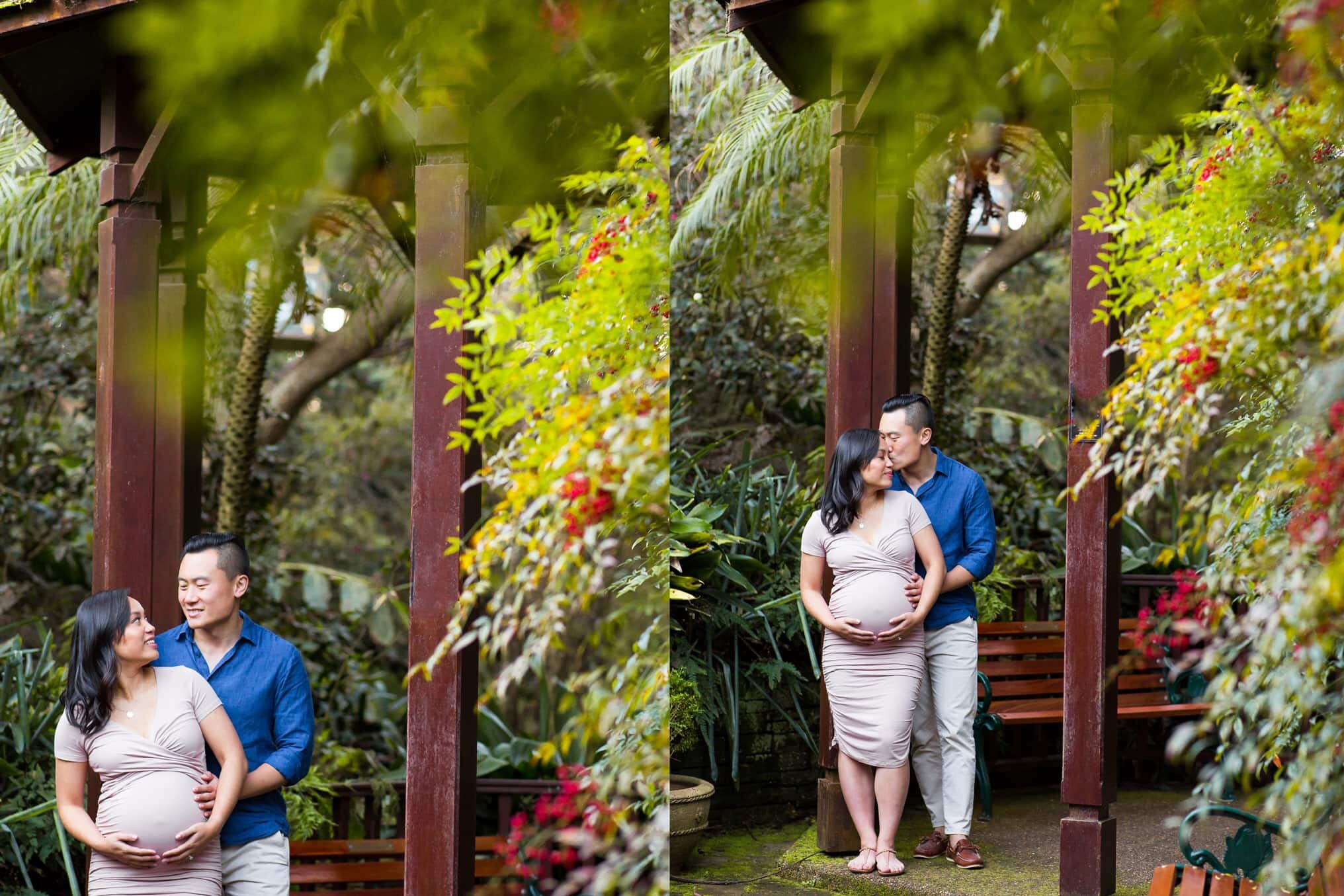 Sydney-family-photographer-maternity-photoshoot-outdoors-Camelia-Gardens-(14).jpg