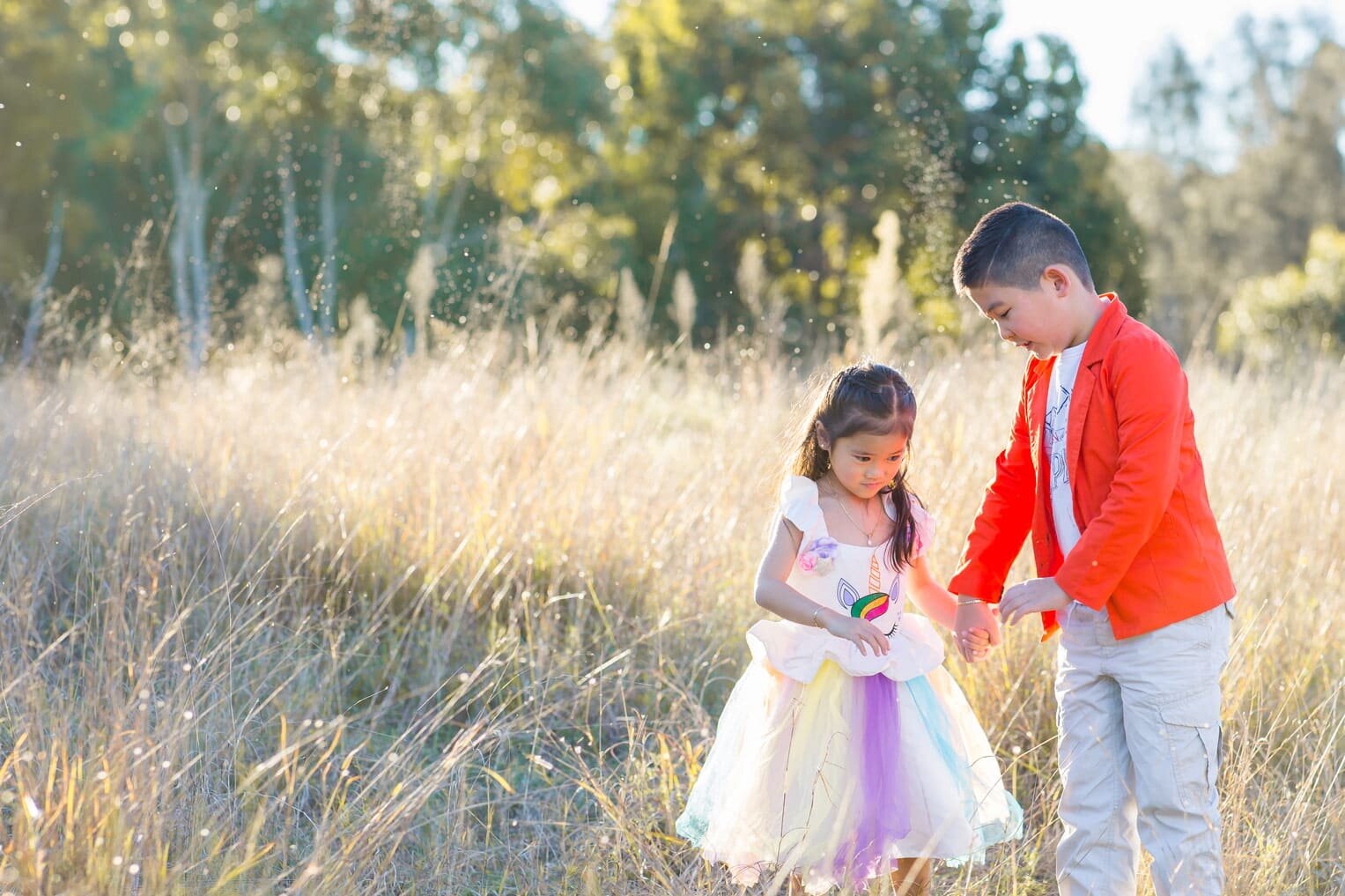 Sydney-family-photographer-sunset-family-photoshoot-Sydney-Olympic-Park-(15).jpg