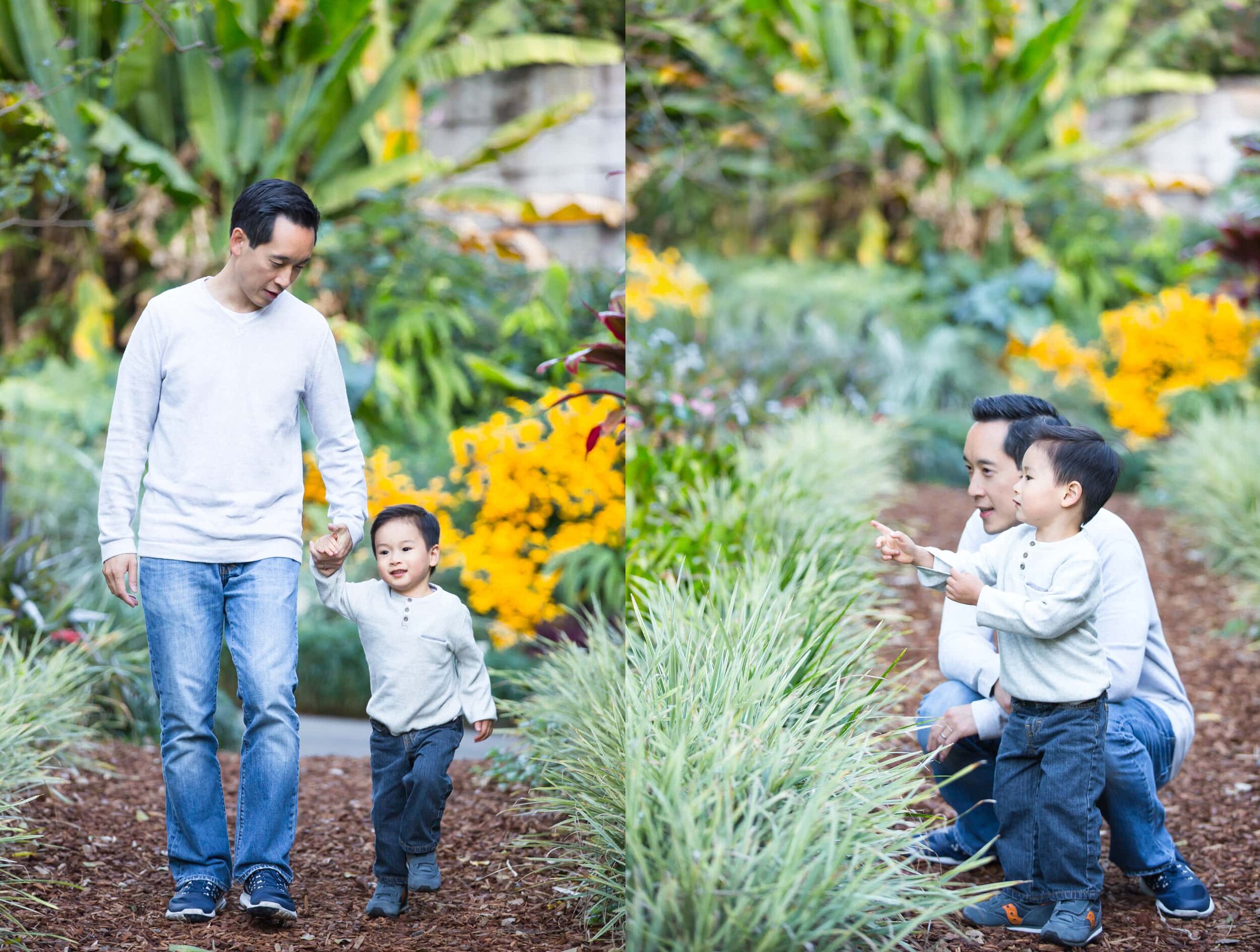 Sydney-family-photographer-outdoor-family-photoshoot-Sydney-Royal-Botanic-Gardens-(9).jpg