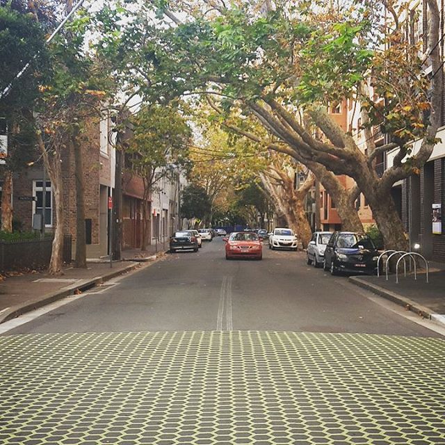 This road is shaded 64% and is often 10 degrees cooler than the ambient temperature! #coolcities #streetcoolers #green #sydney #trees #potd #sustainability #cool #beautiful