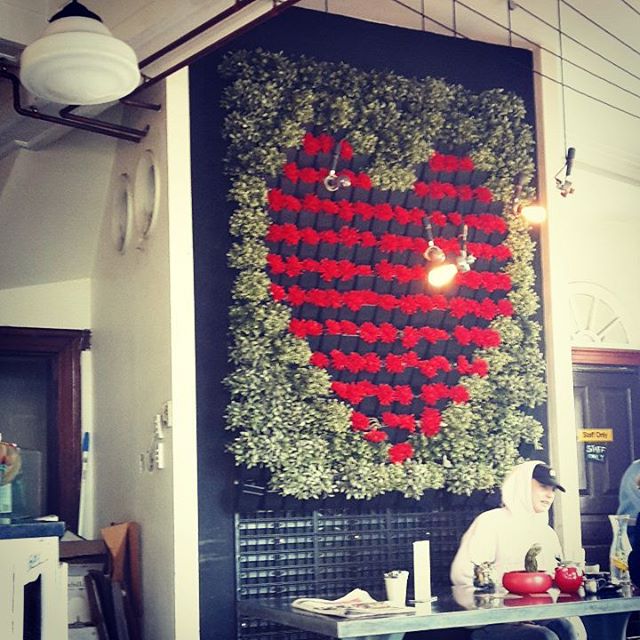 #Heart of #Newtown, a #beautiful #verticalgarden that really brightens up a #cafe ! #green #greencities #streetcoolers #sydney #city #coffee #plants