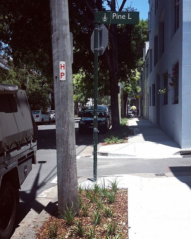 Good job, Sydney Council for encouraging cool streets with surface area for tree and white sidewalks! #coolstreets #uhie #sydney #australia #summer #cool #nomoresweating