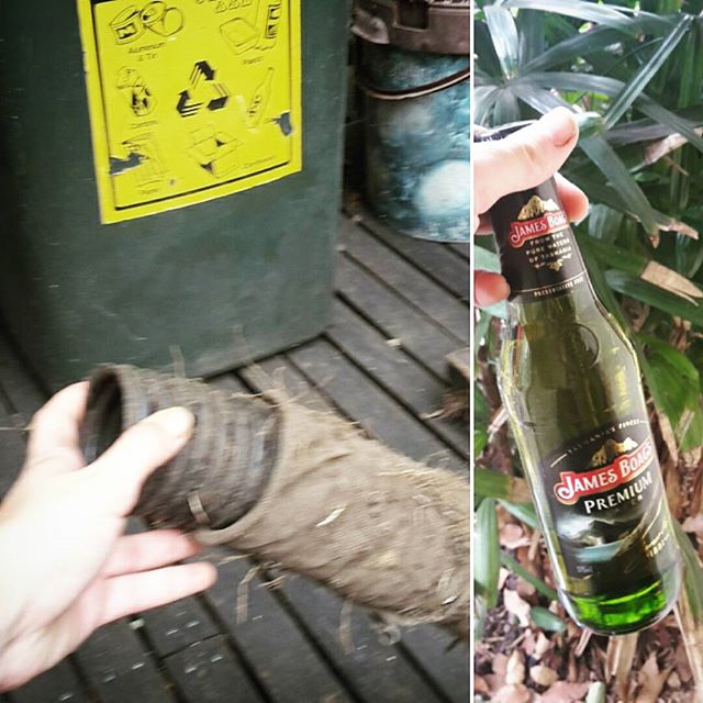 #Lessons about the power of nature with #leakydrains. #Plants &lt;3 them! New drains have been revised to prevent! Found a #beer, too! #bonus https://t.co/bPdxybk8Pu