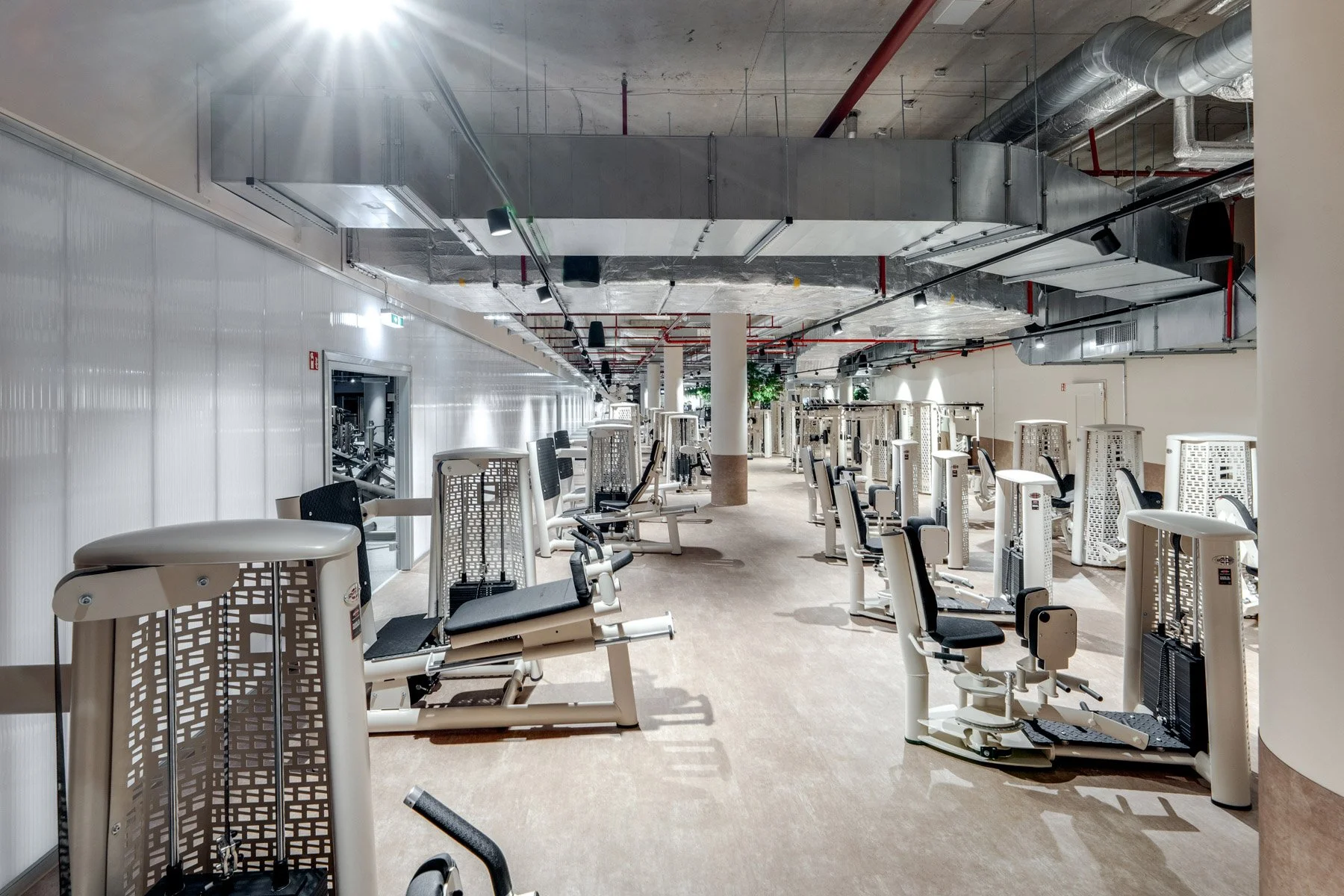 TonyHauptPhoto_UNDKRAUSS_a-gym-15_web.jpg