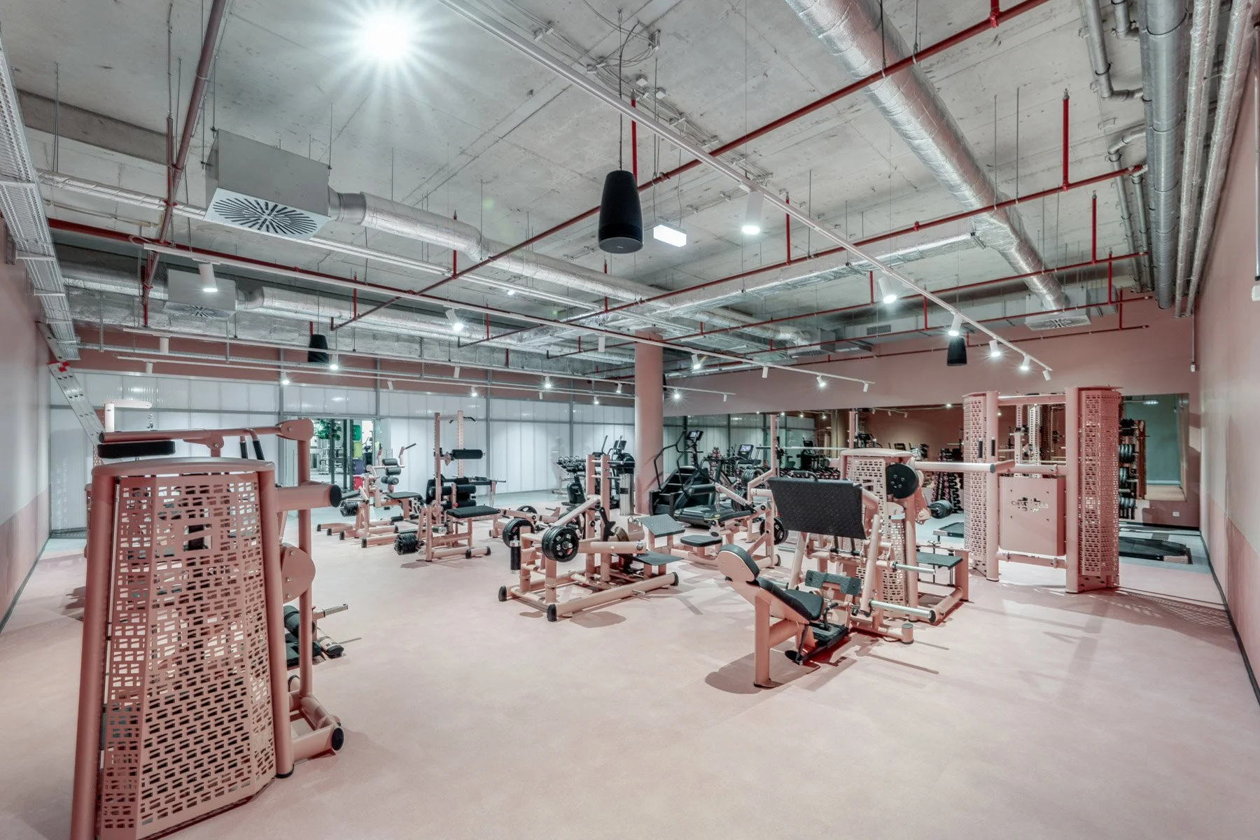 TonyHauptPhoto_UNDKRAUSS_a-gym-17_web.jpg