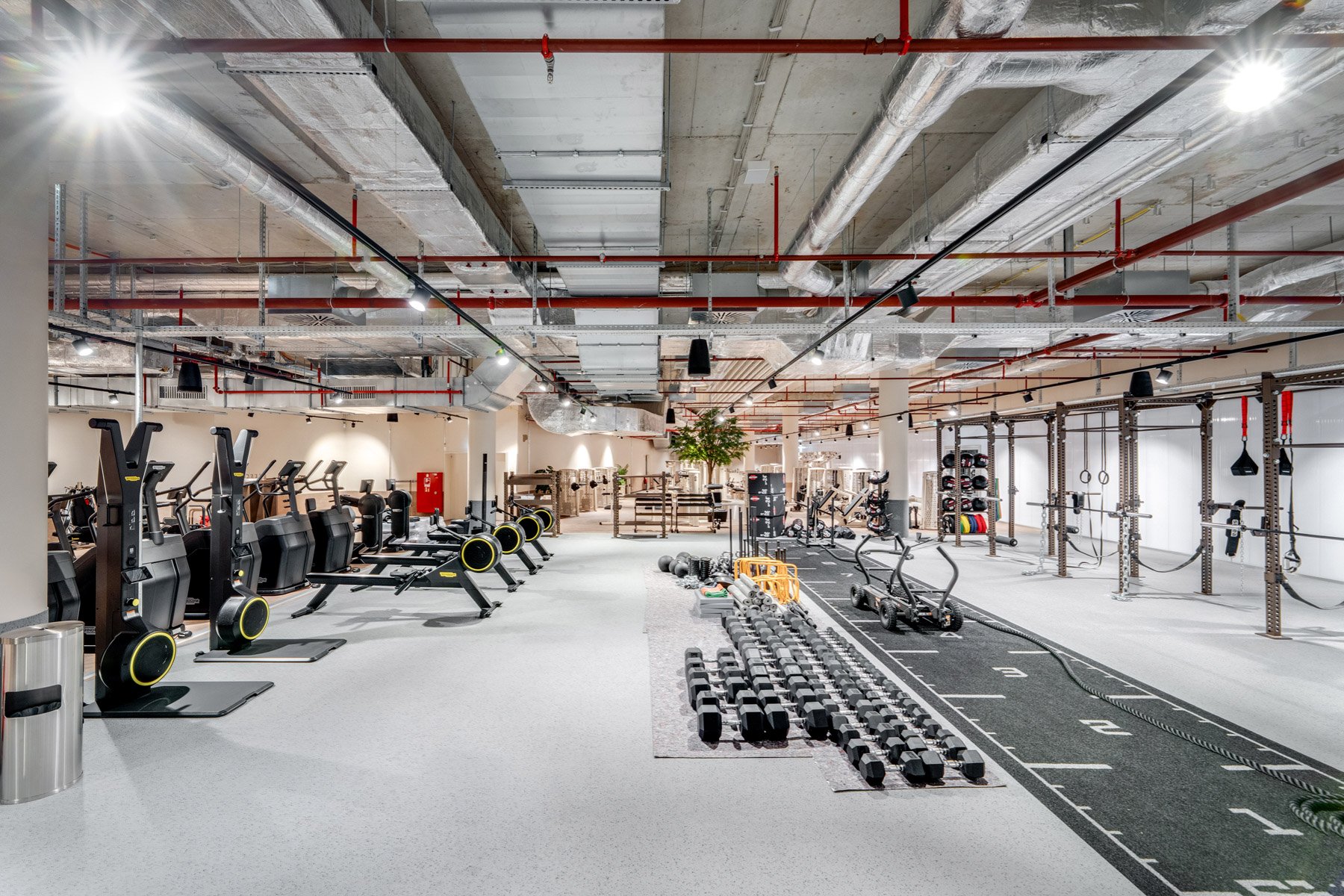 TonyHauptPhoto_UNDKRAUSS_a-gym-9_web.jpg