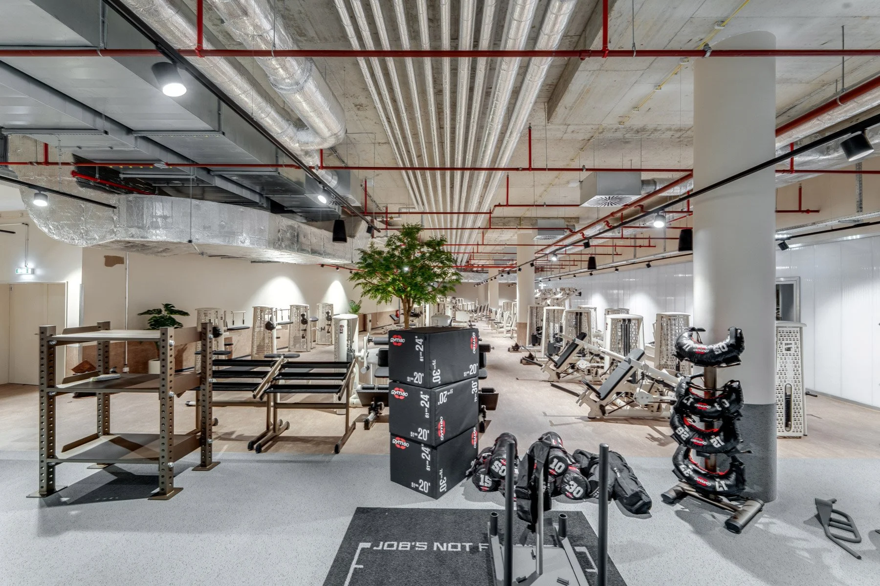 TonyHauptPhoto_UNDKRAUSS_a-gym-5_web.jpg