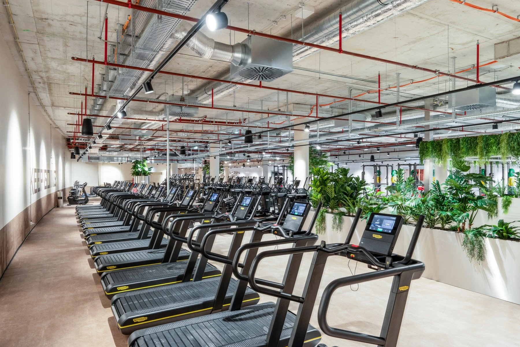 TonyHauptPhoto_UNDKRAUSS_a-gym-4_web.jpg