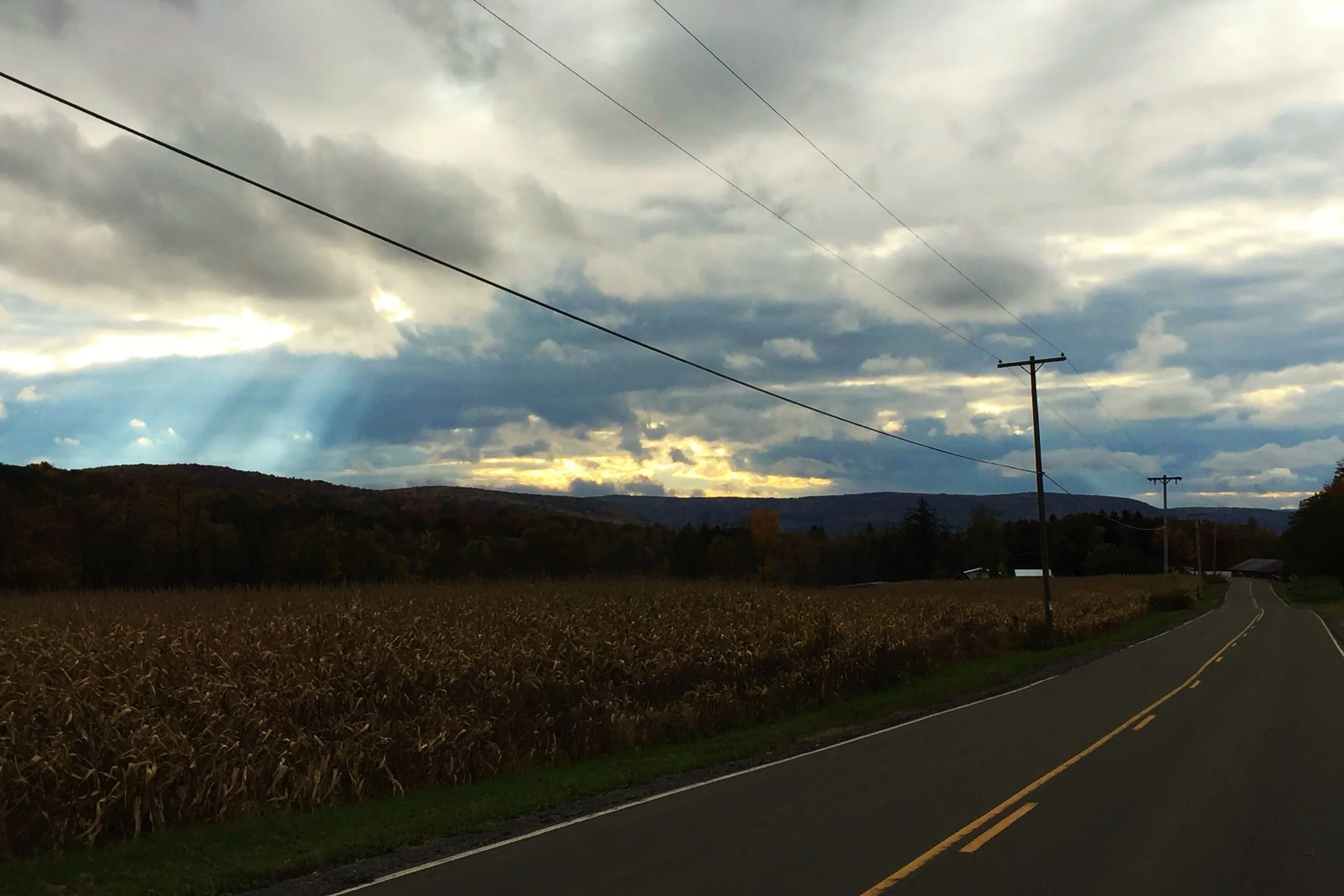 How gratefulness helped me out of the depths of caregiver burnout