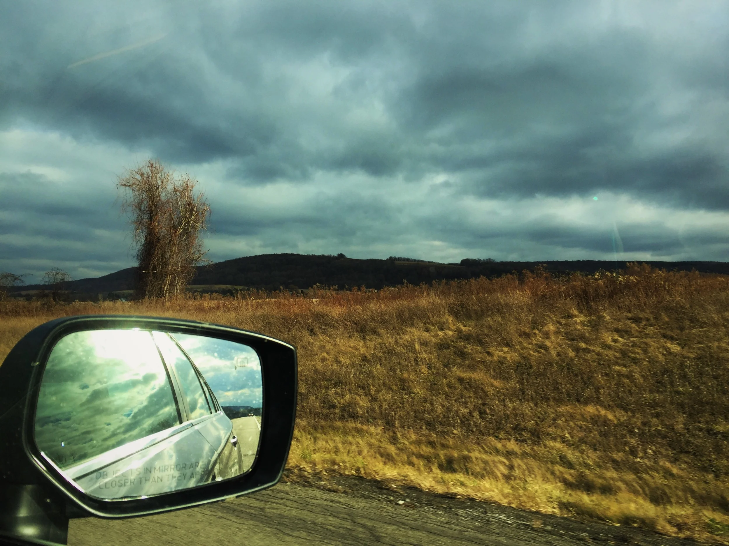 Moving forward after the two weeks that knocked us all down, aka: the week Mom went to the hospital and I punched her in the face