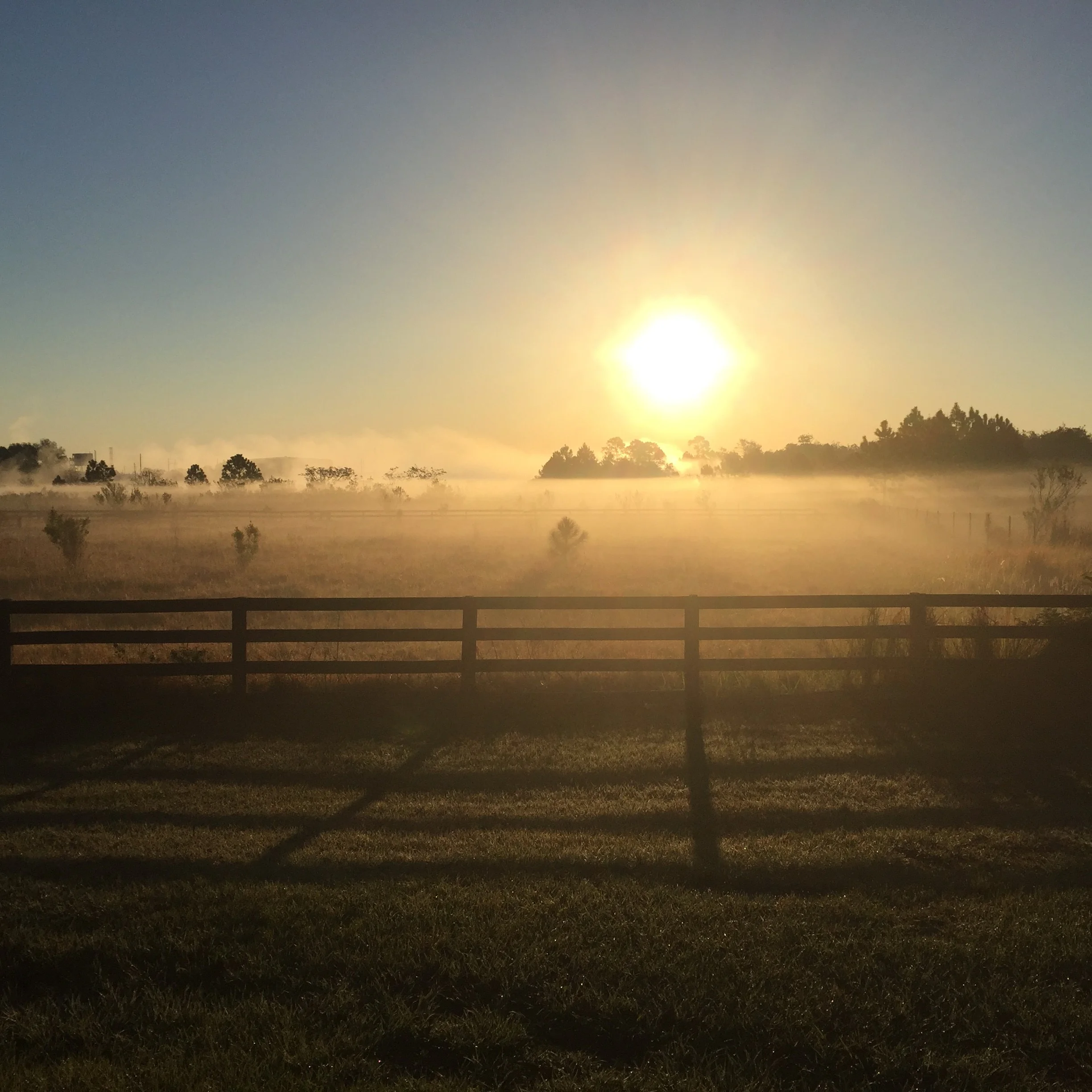 What I saw the first morning I went for a run.