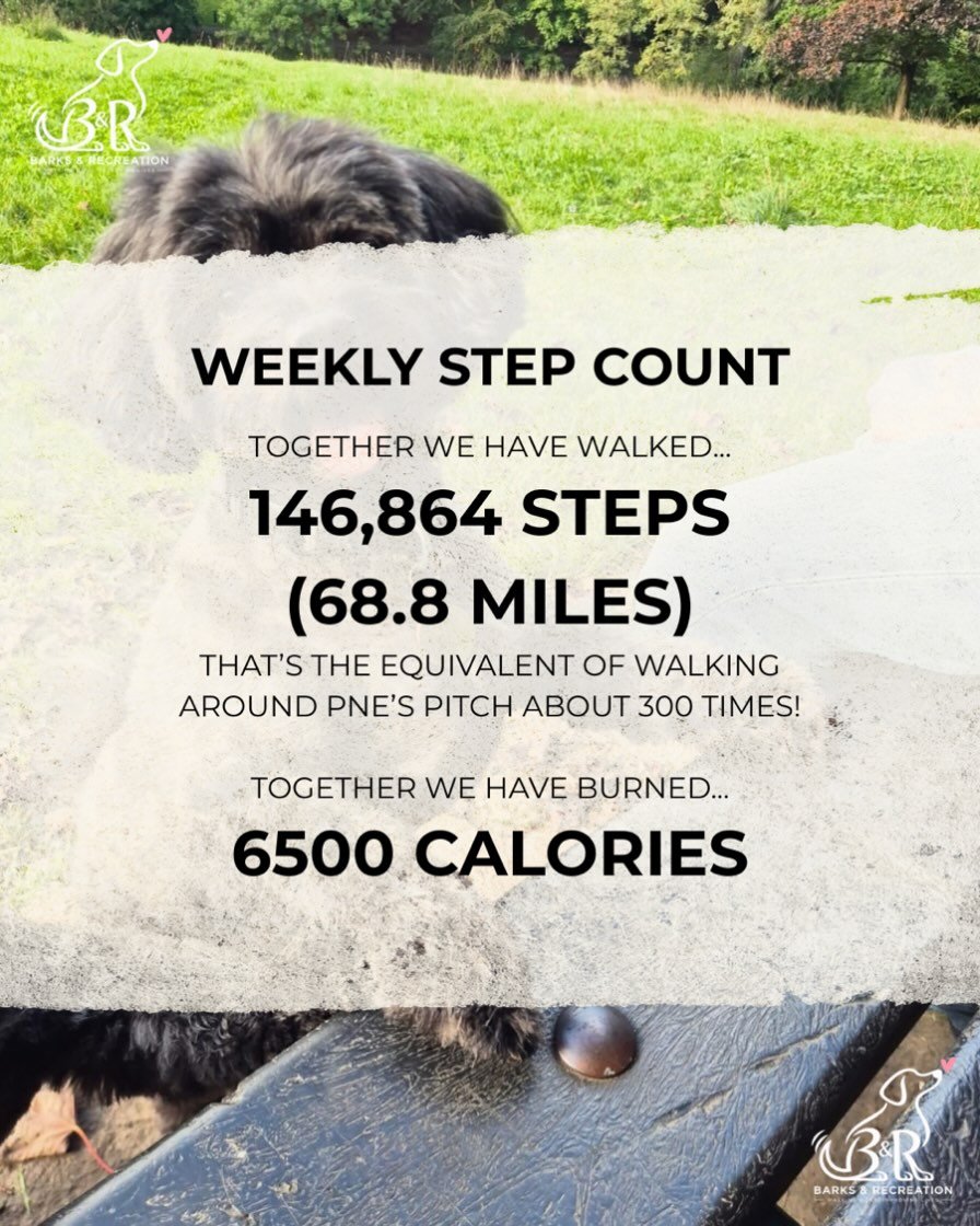 146,864 steps, 68.8 miles, countless tail wags&hellip;! 🐶 

#dogwalking #socialenterprise #penwortham #preston #dogwalker