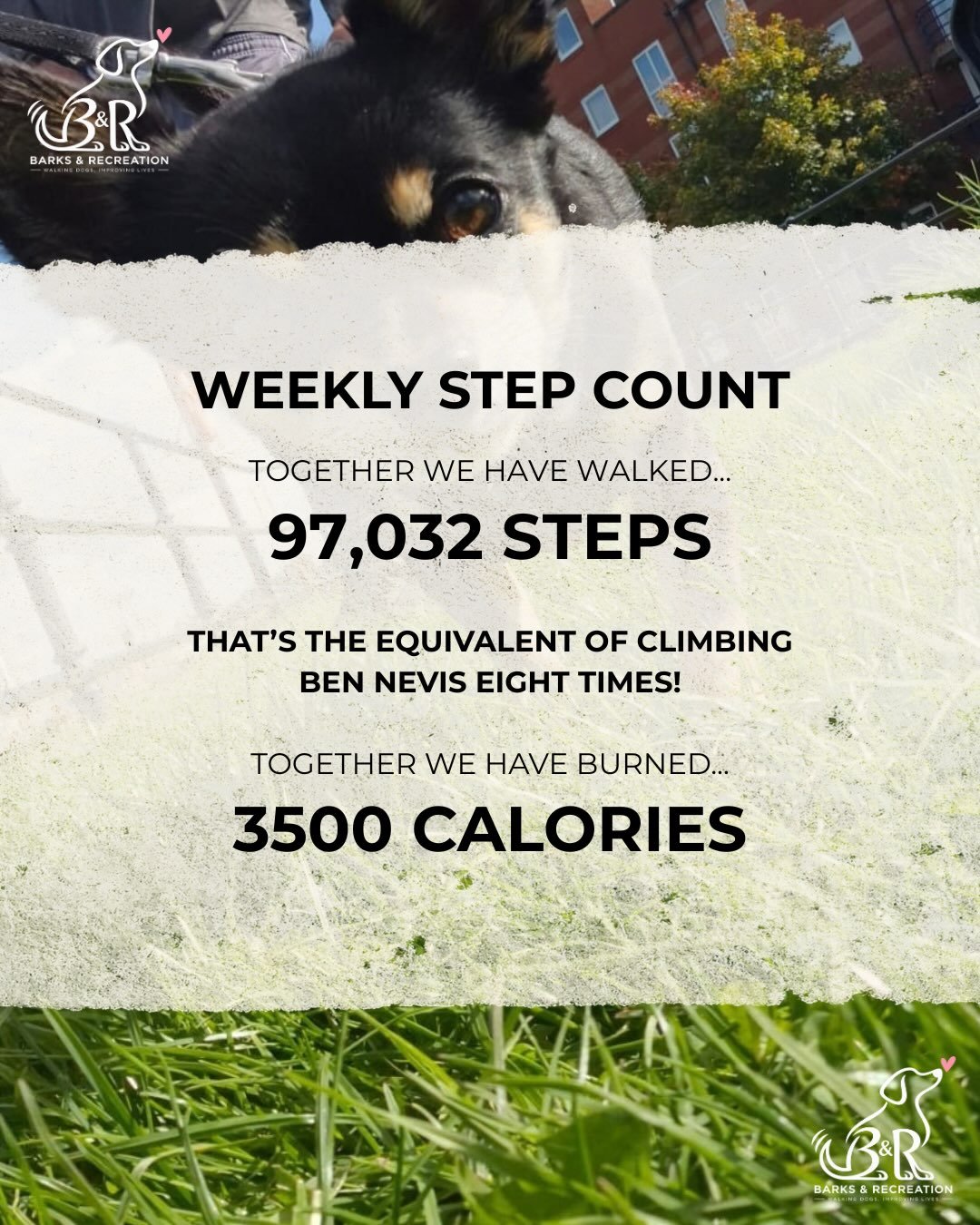 Together we&rsquo;ve walked an impressive 97,032 this week, and burning approx 3500 calories. That&rsquo;s the equivalent of walking up Ben Nevis EIGHT times!

&mdash;&mdash;&mdash;&mdash;&mdash;&mdash;&mdash;&mdash;&mdash;

We have some room in our 