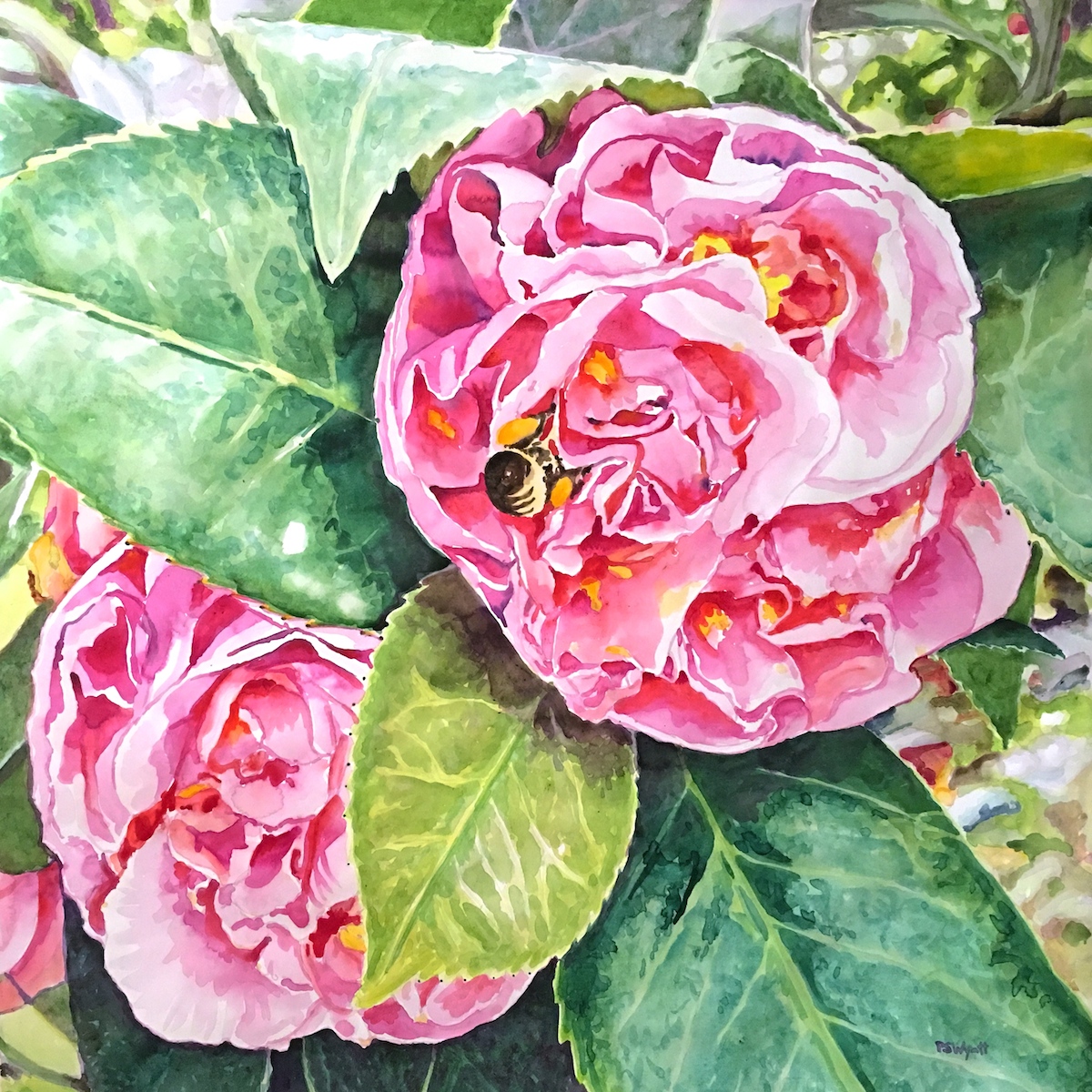 'Divine Beauty' 36 x 36 inches watercolor 