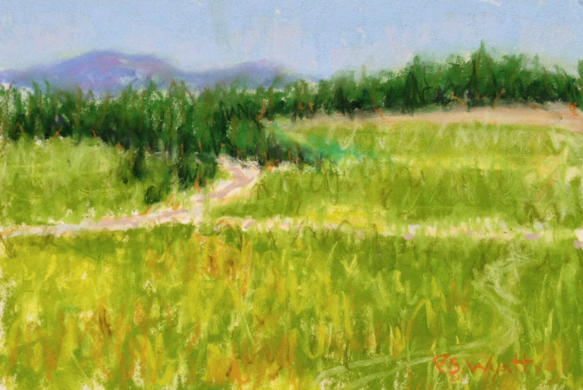Rare Green 5 x 7 inches pastel on paper