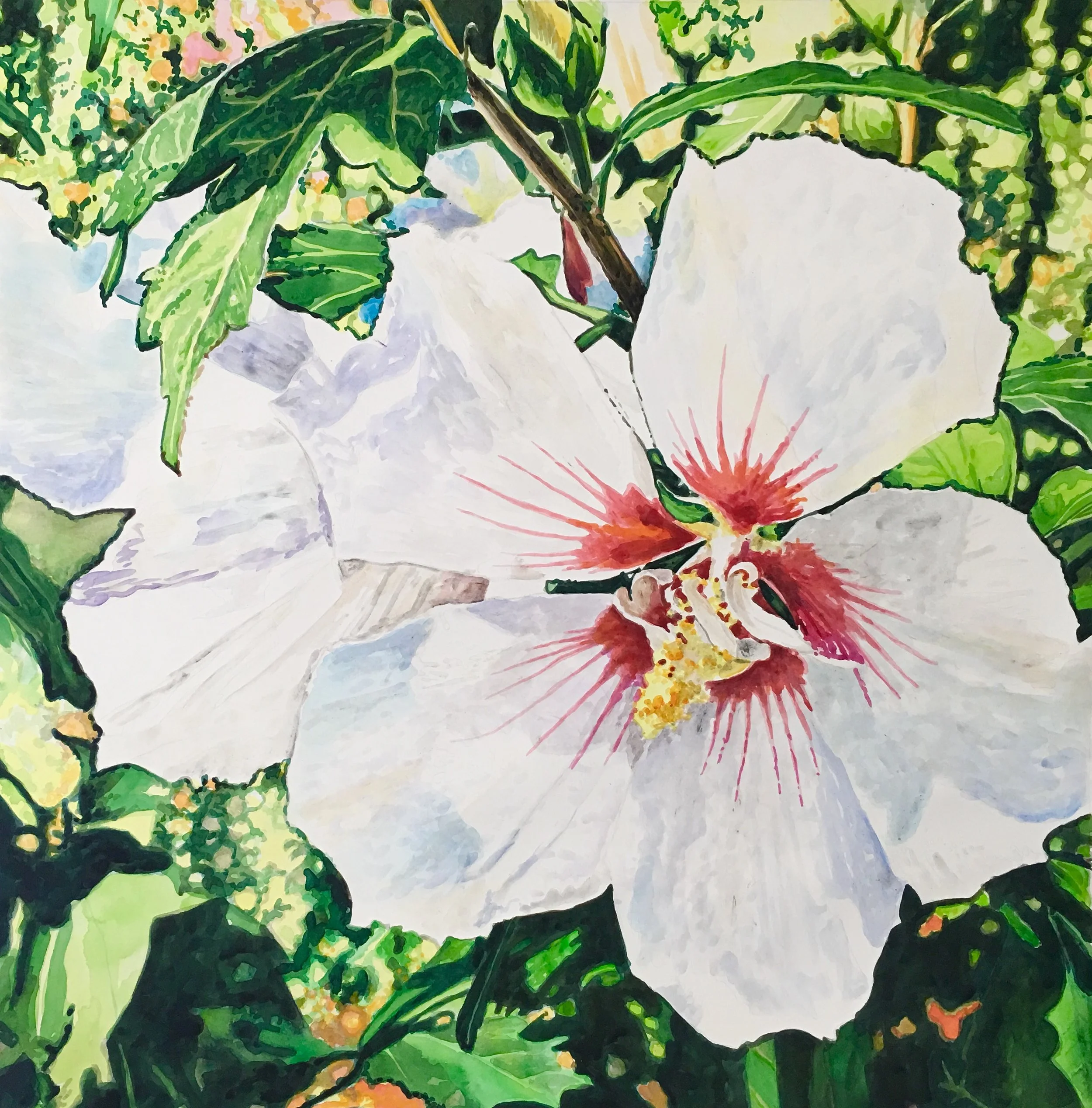 Sybil's Althea