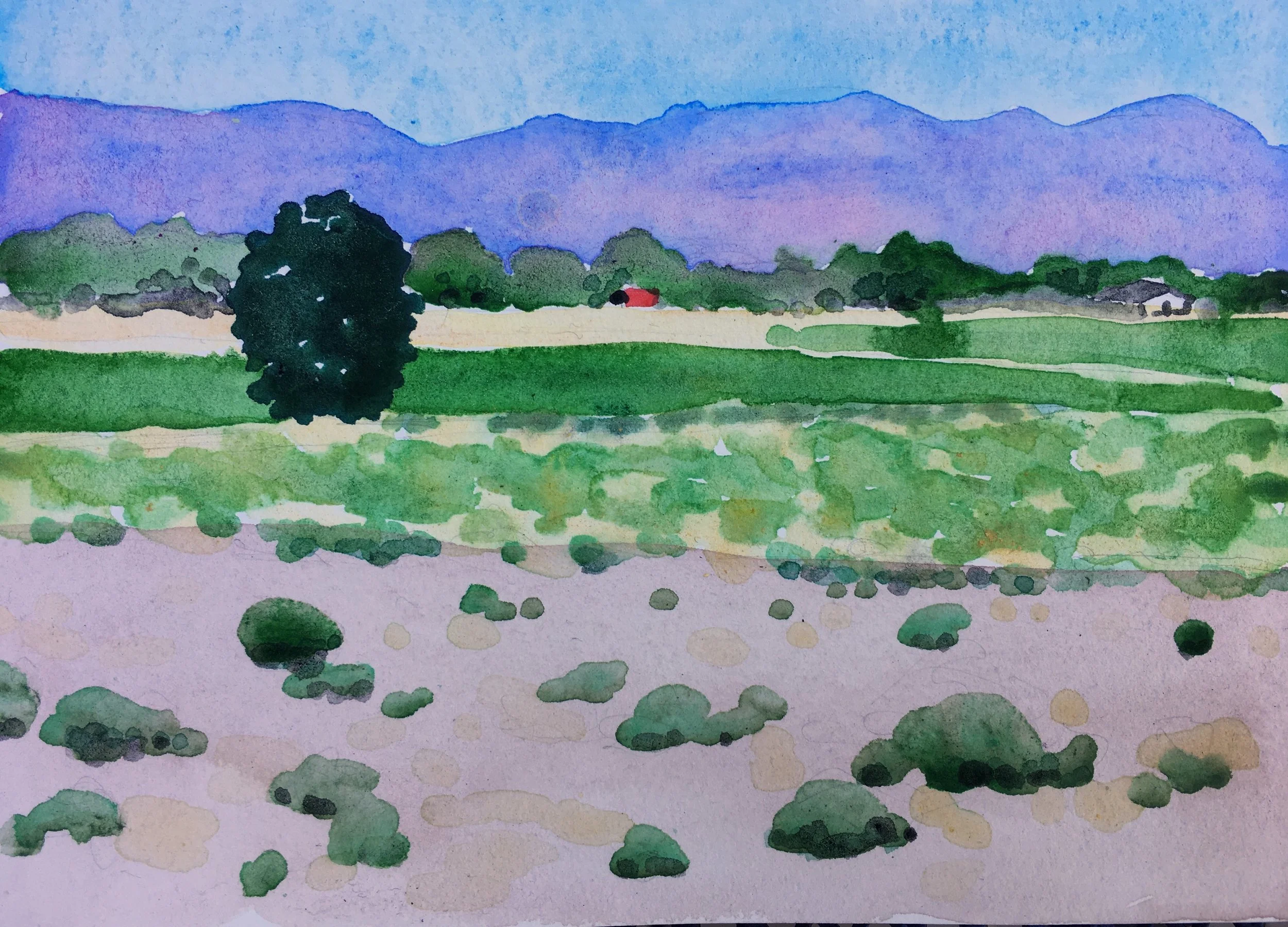 5 x 7 inches watercolor on paper