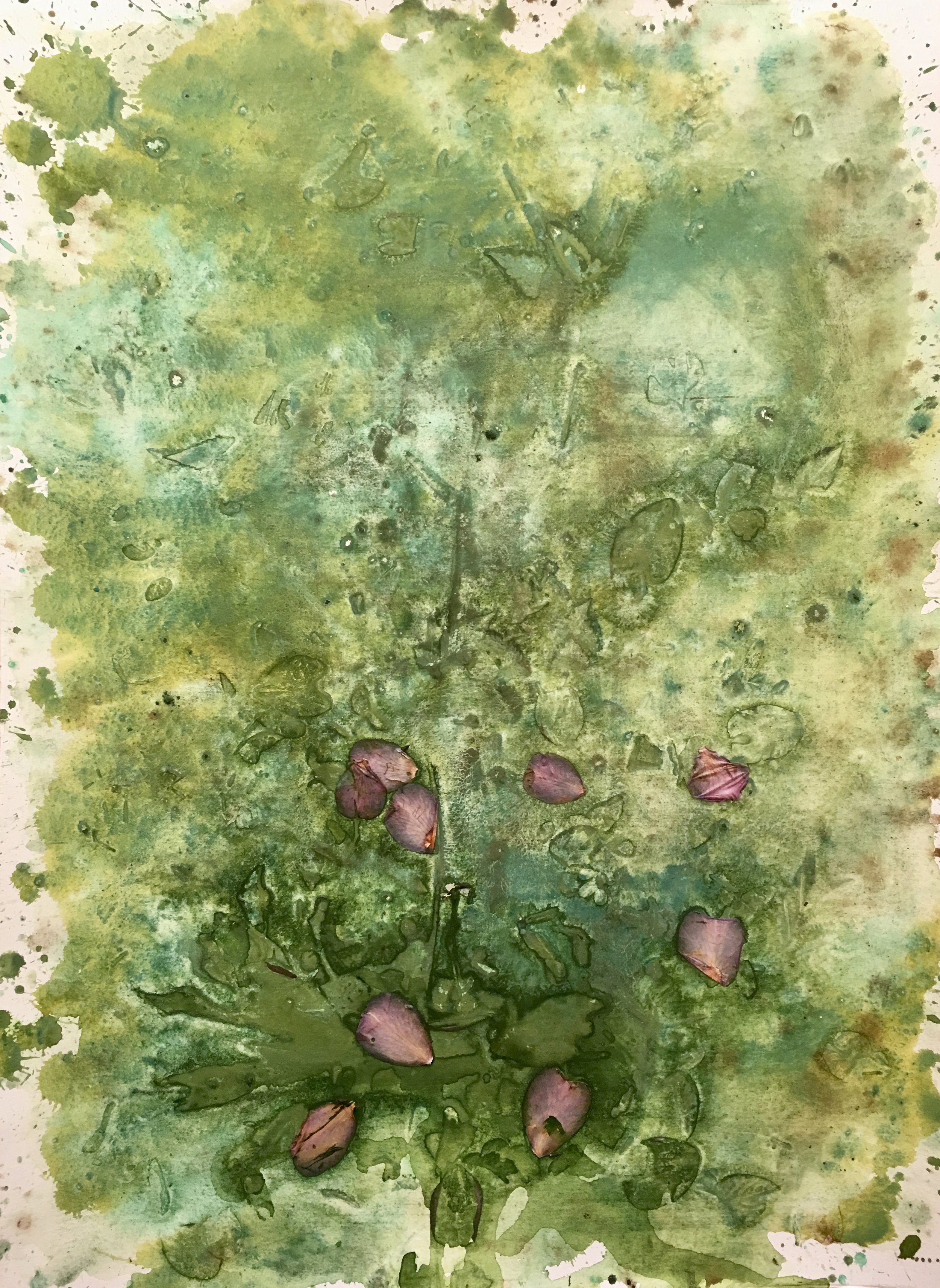22 x 30 inches watercolor and natural elements on paper
