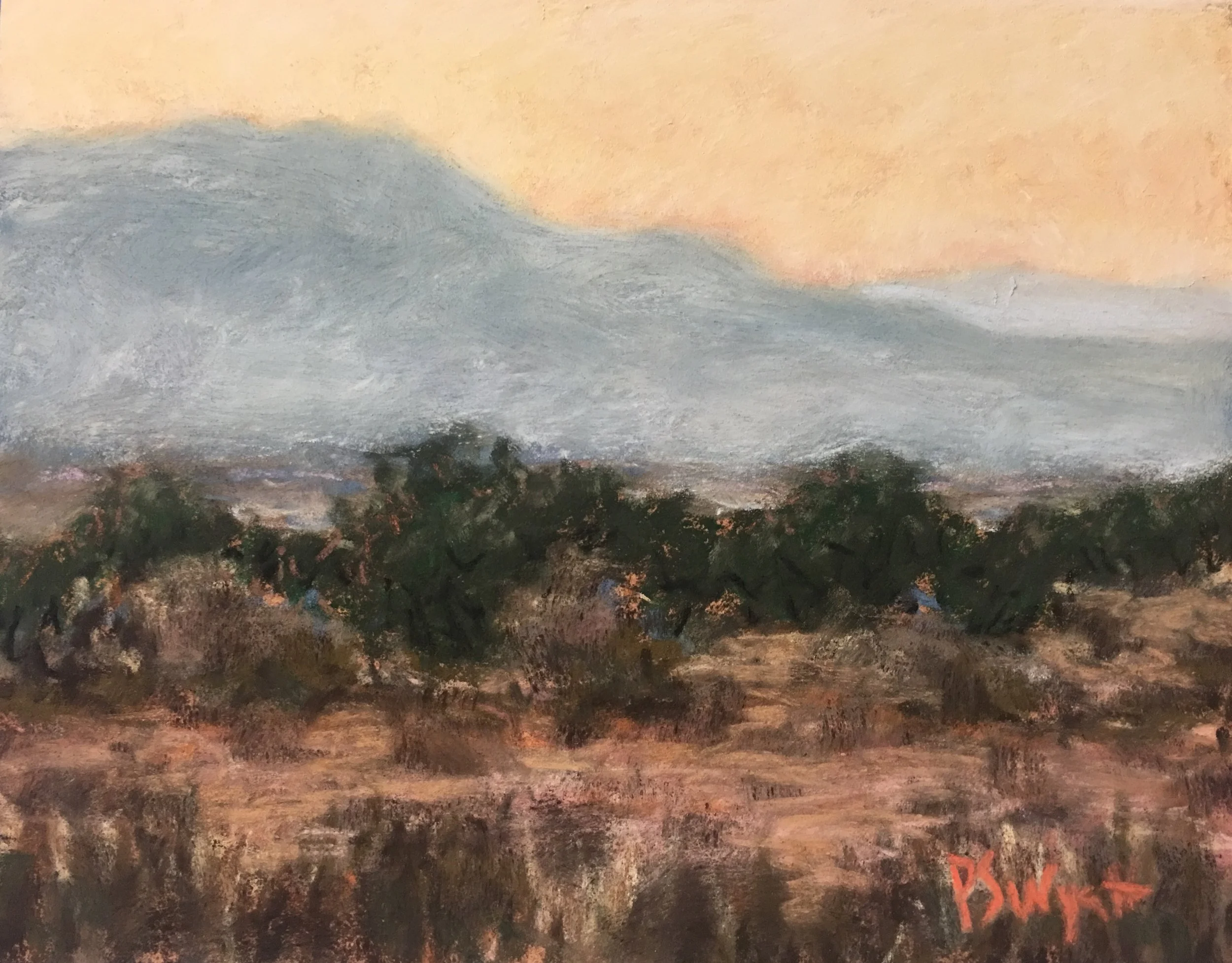 Desert Dawn