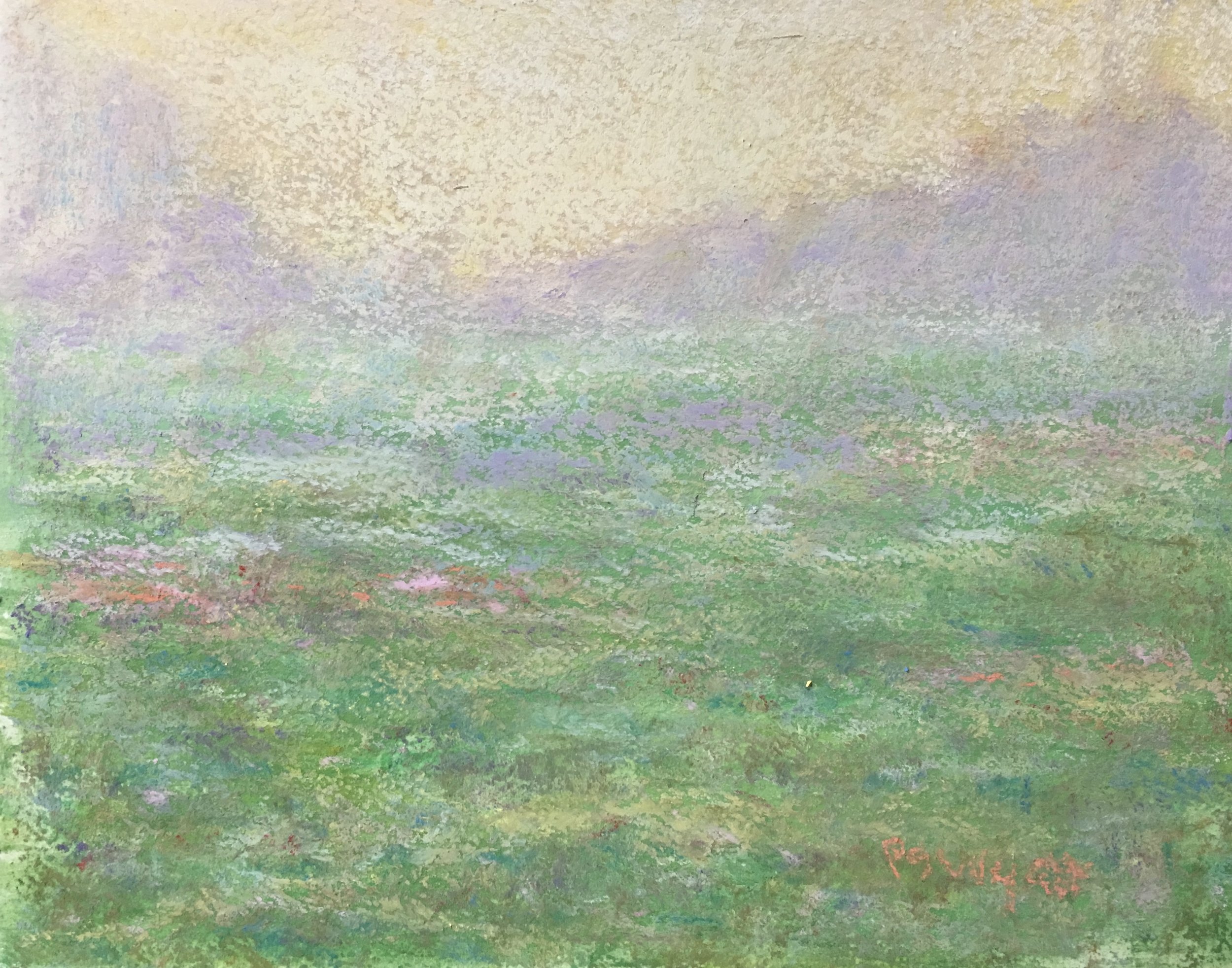 Spring Morning Mist